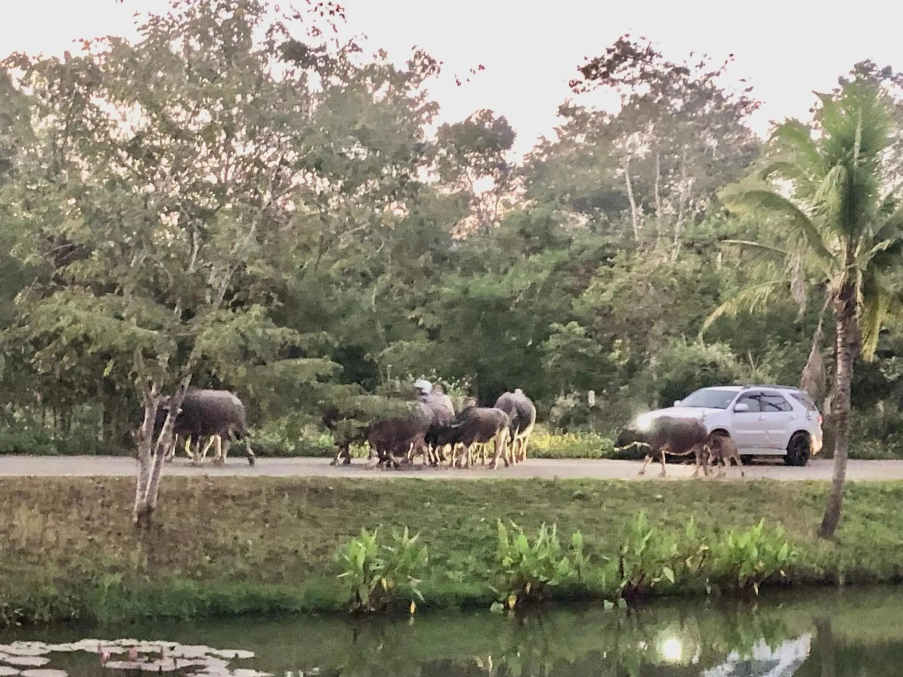 Pura Vida Pai Resort Pura Vida Pai Resort