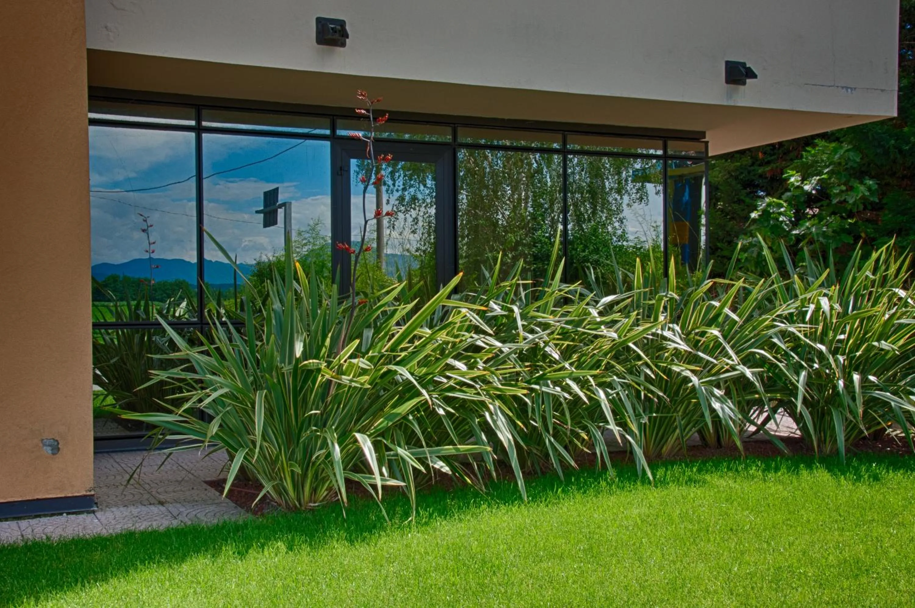 Garden view in Albergo Papillon