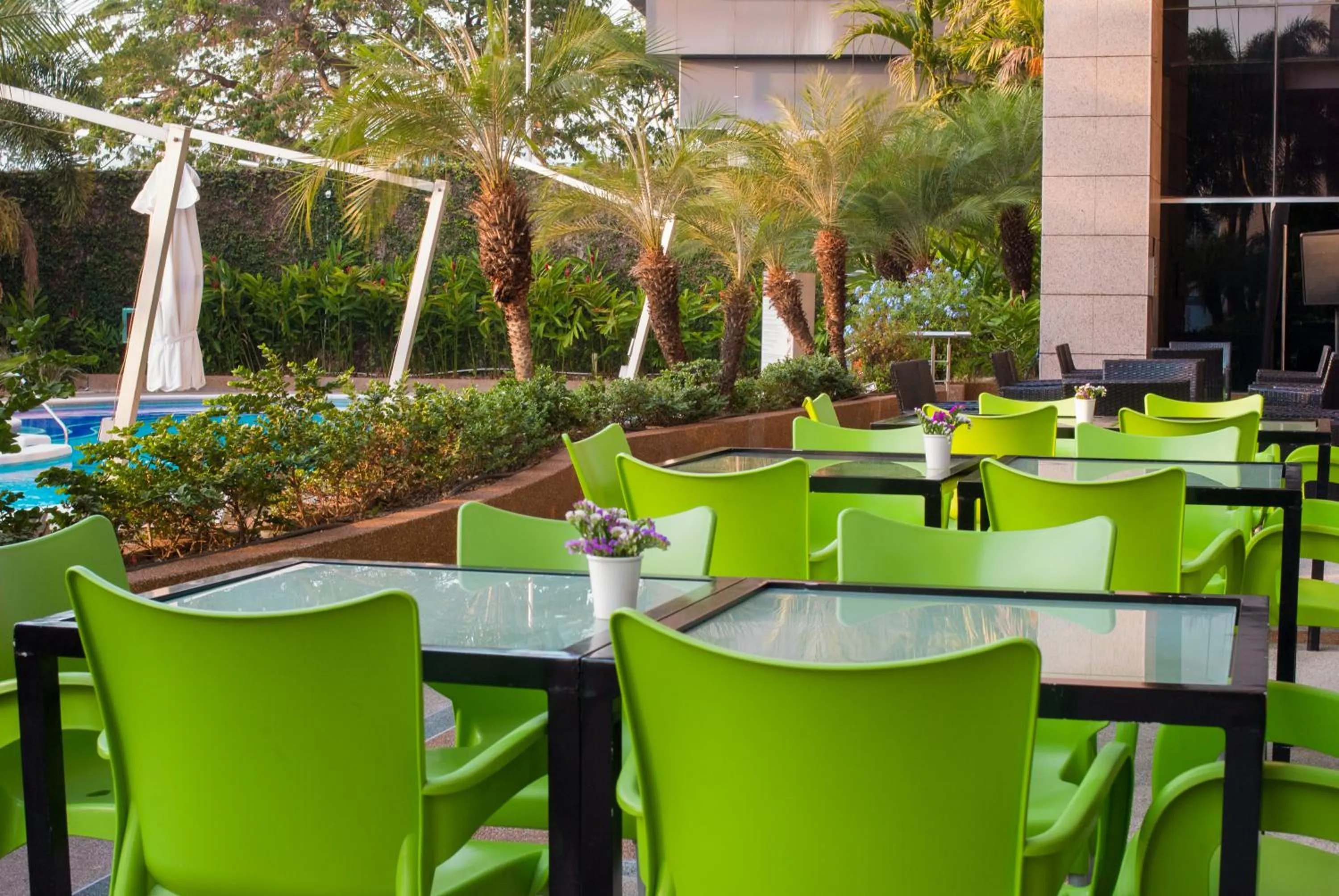 Garden view in Hesperia WTC Valencia