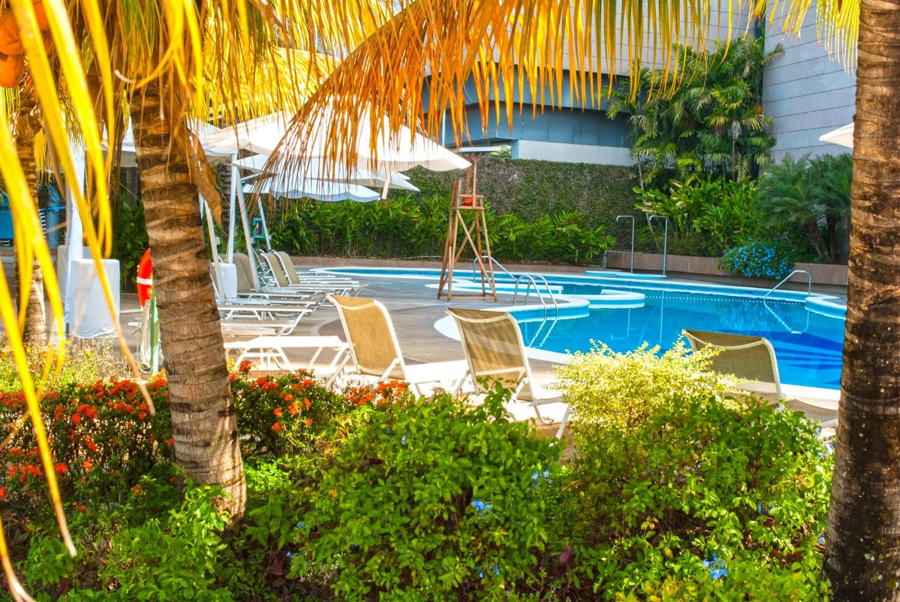 Swimming pool in Hesperia WTC Valencia