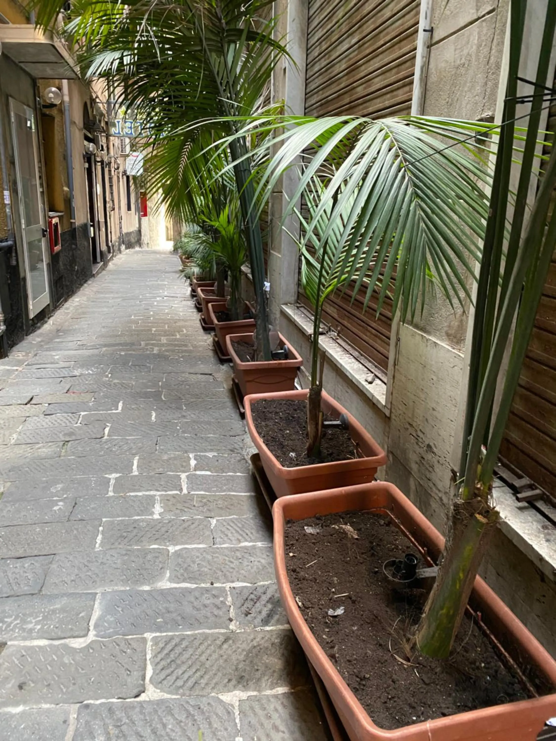 Quiet street view in Hotel Veronese