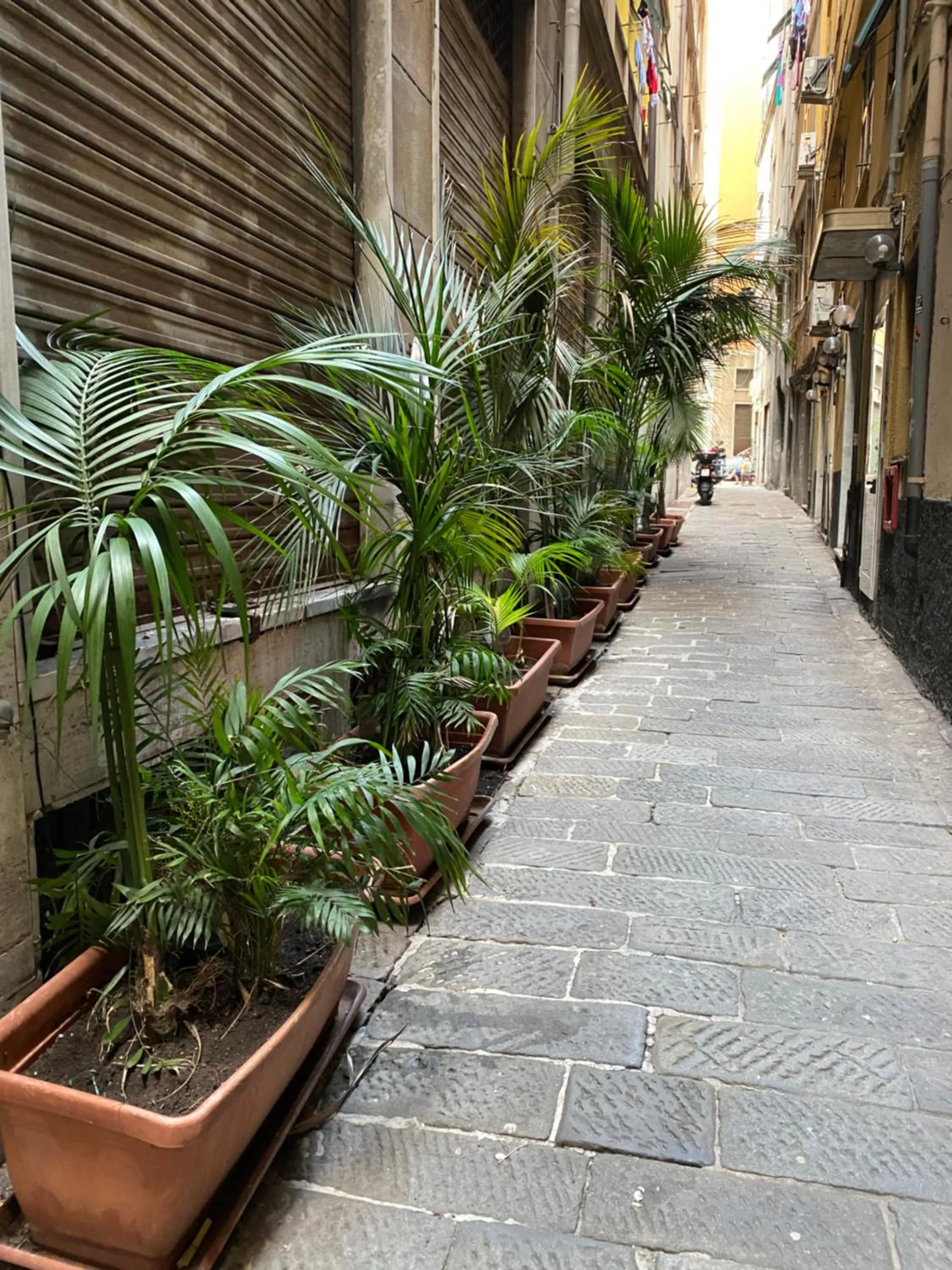 Quiet street view in Hotel Veronese