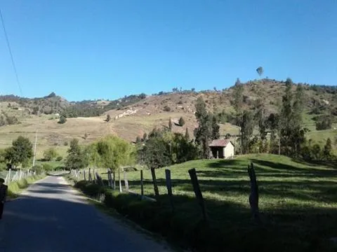 Despierta En El Árbol Desayuno Americano a tu ritmo somos Petfriendly