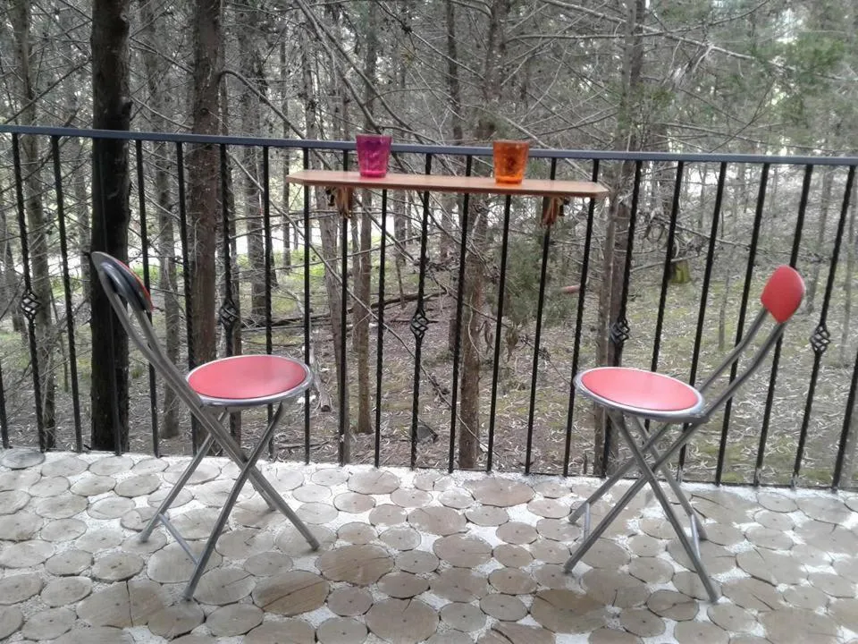 Vacation Home in Despierta En El Árbol Desayuno Americano a tu ritmo somos Petfriendly