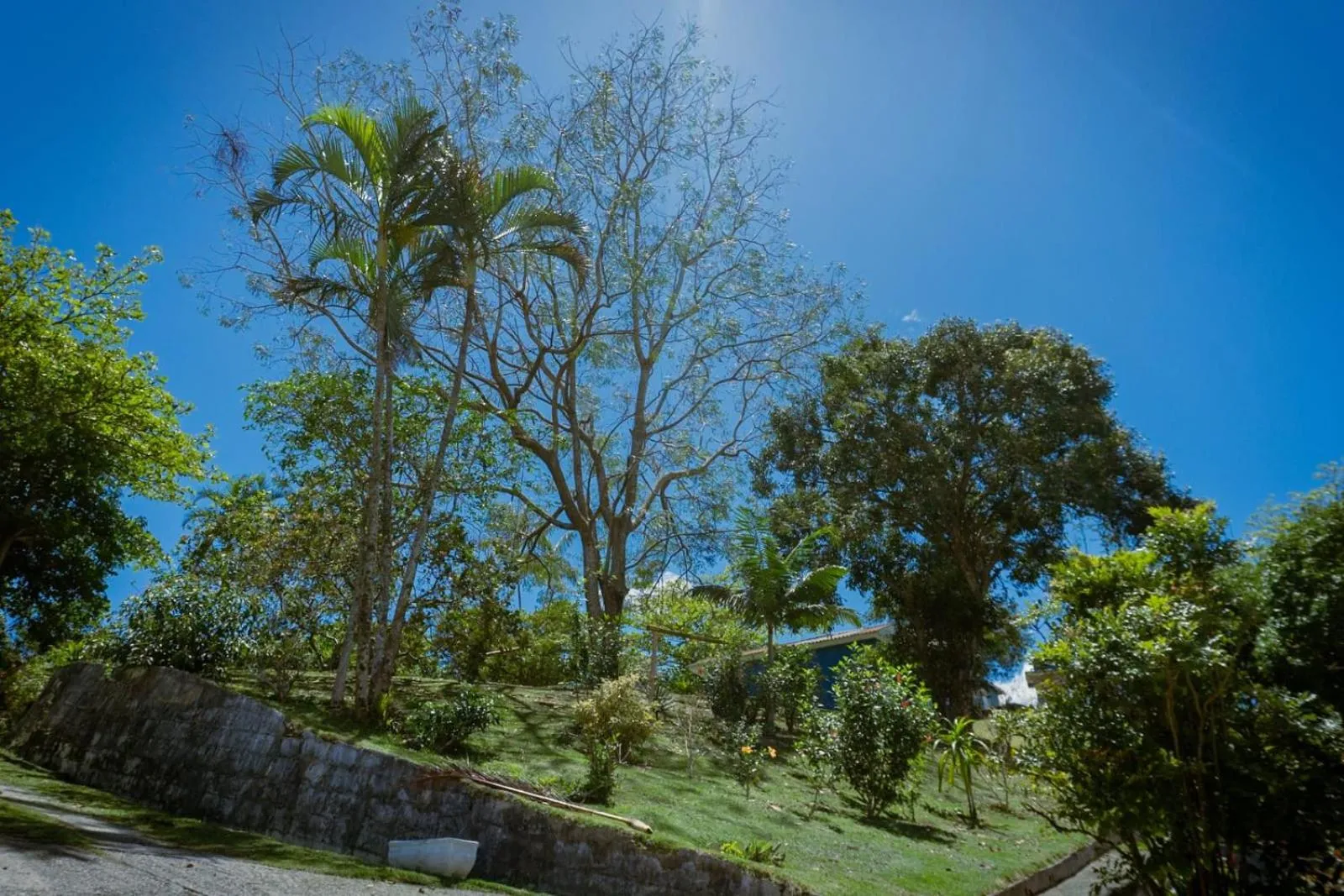 Garden in Pousada Sol do Araçá