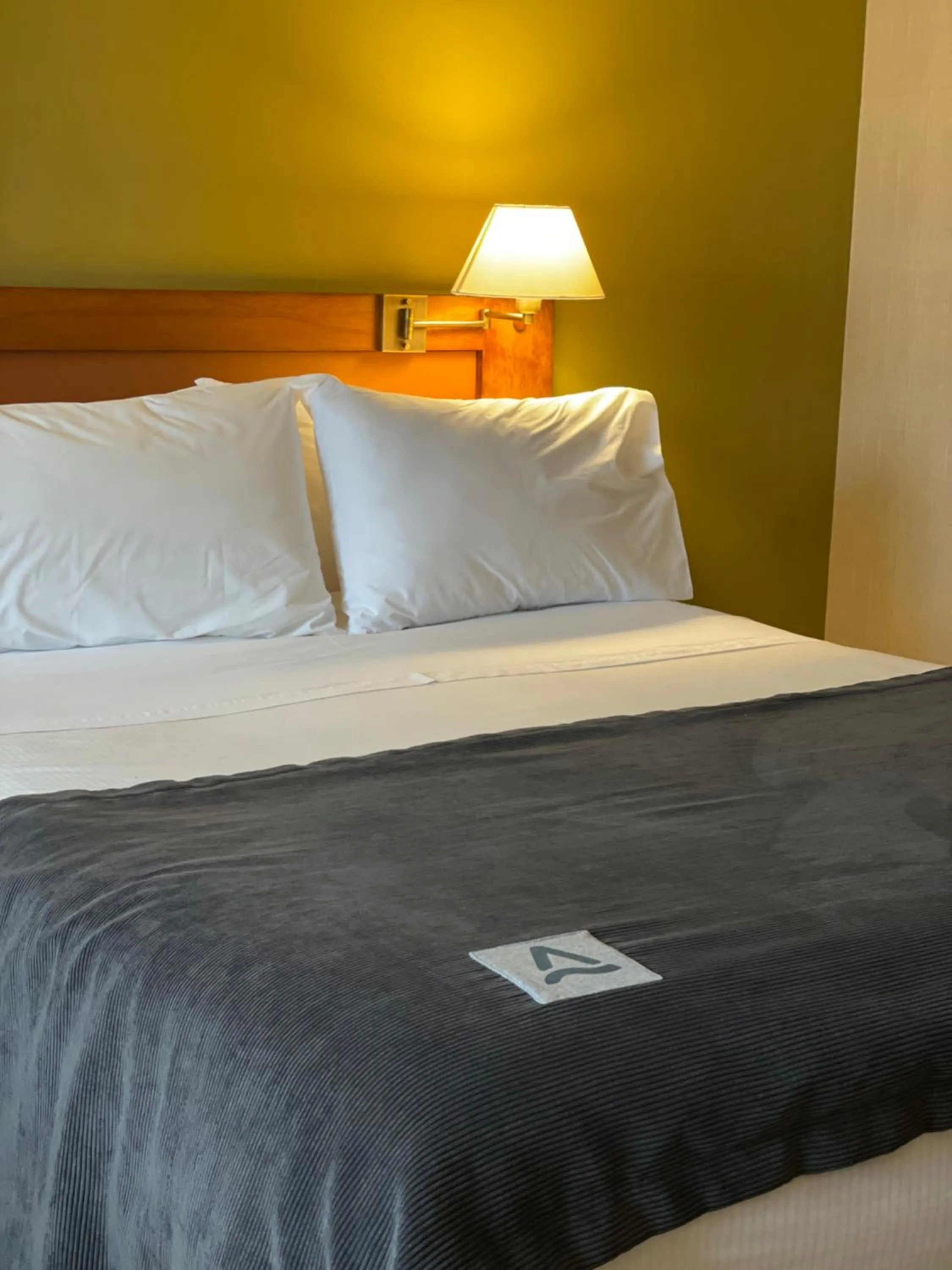 Superior Twin Room in Almasur Punta Arenas