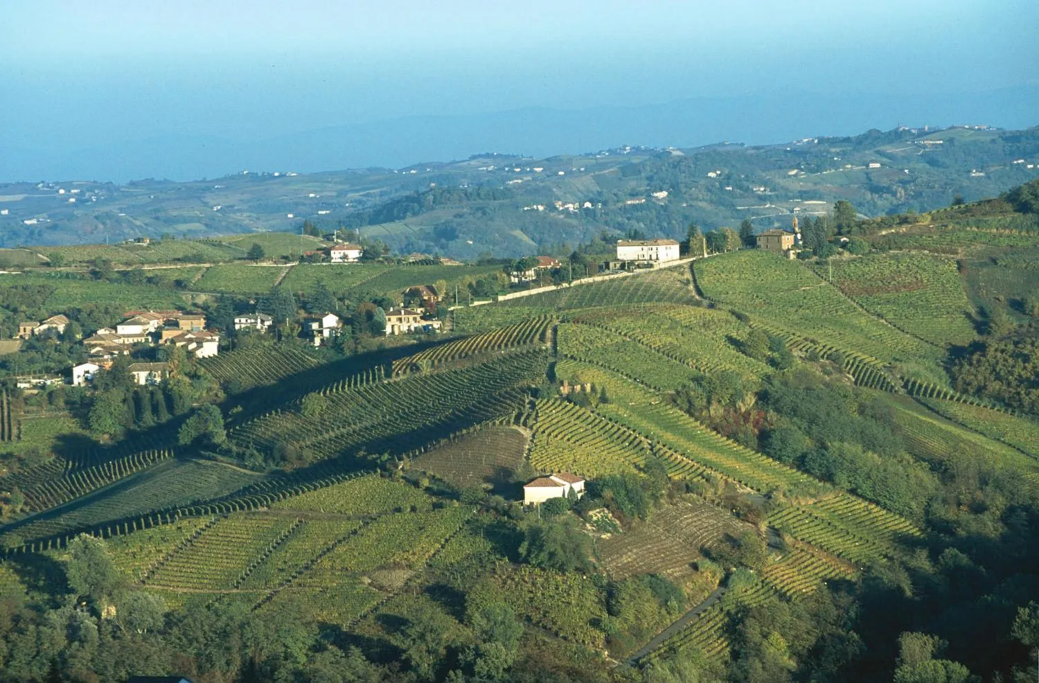 Natural landscape in Hotel Langhe & Monferrato