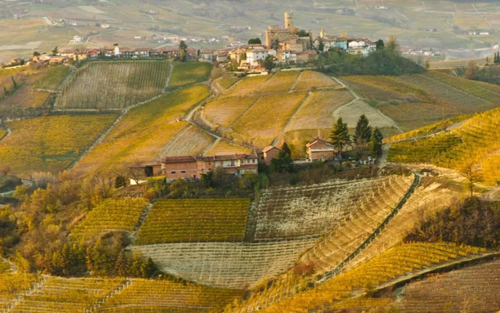 Natural landscape in Hotel Langhe & Monferrato