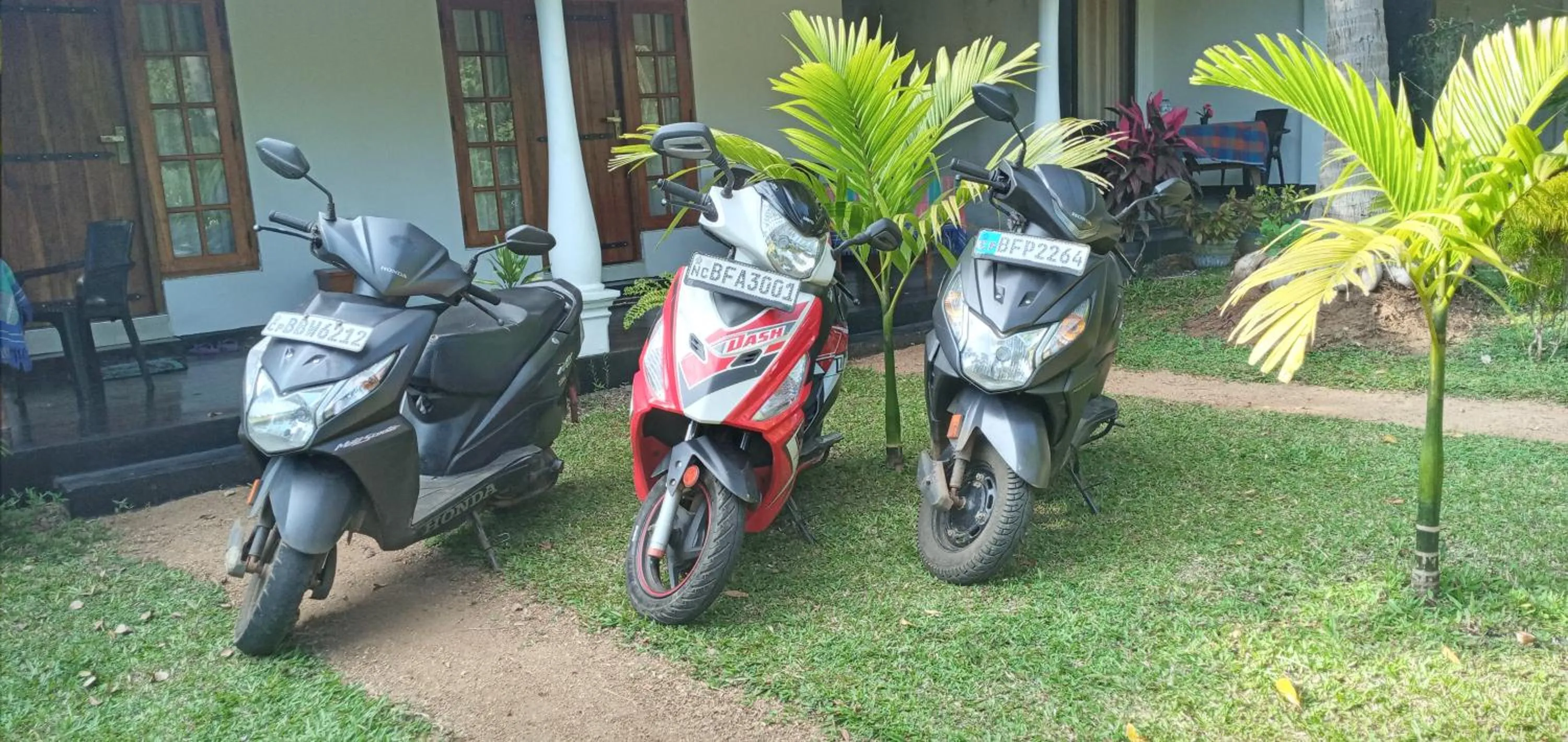 Garden in Sigiri Shen Residence