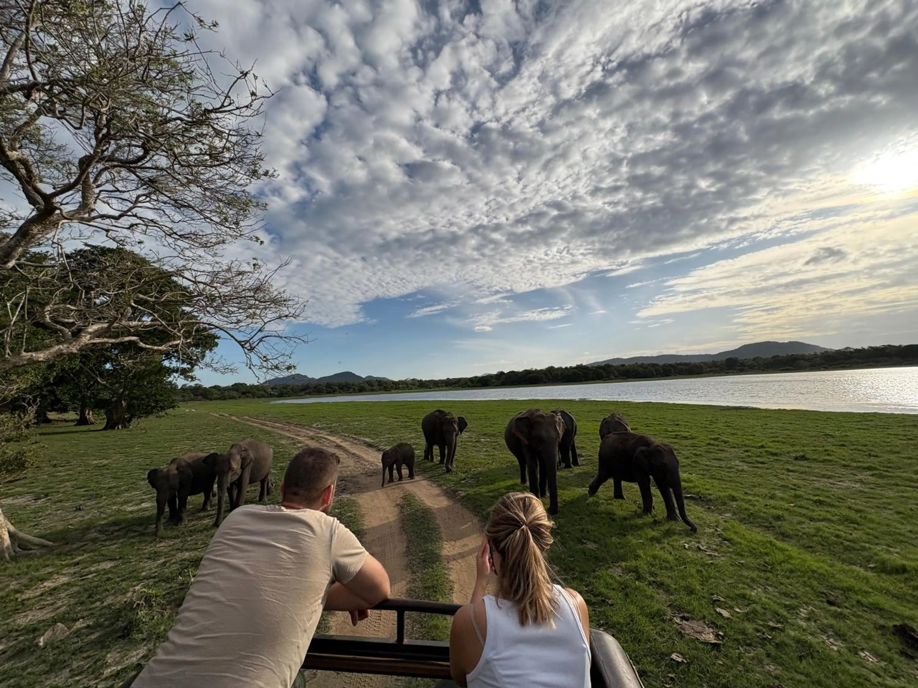 Animals in Sigiri Shen Residence
