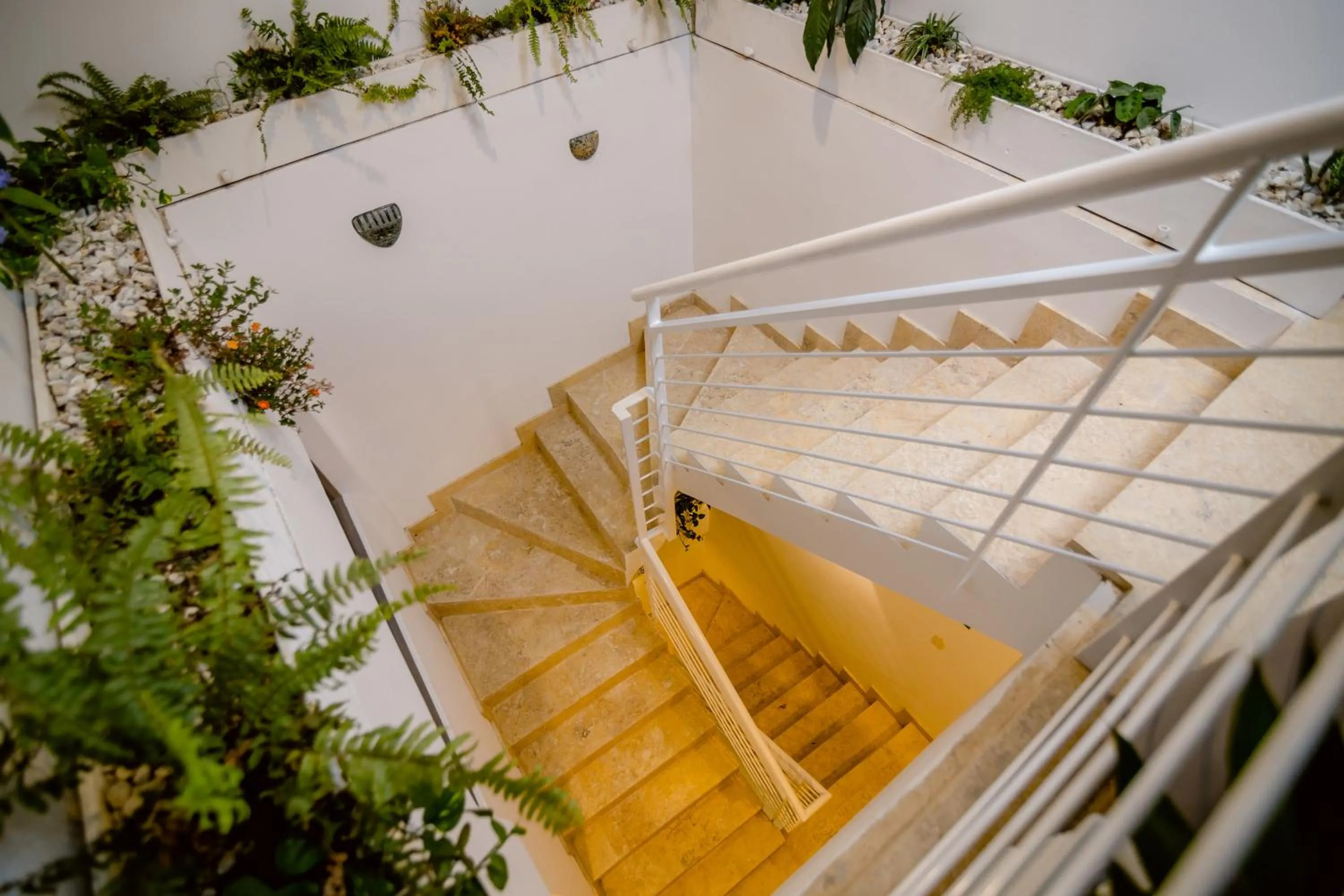 Property building in El Cactus Luxury Apartments in Historic Center