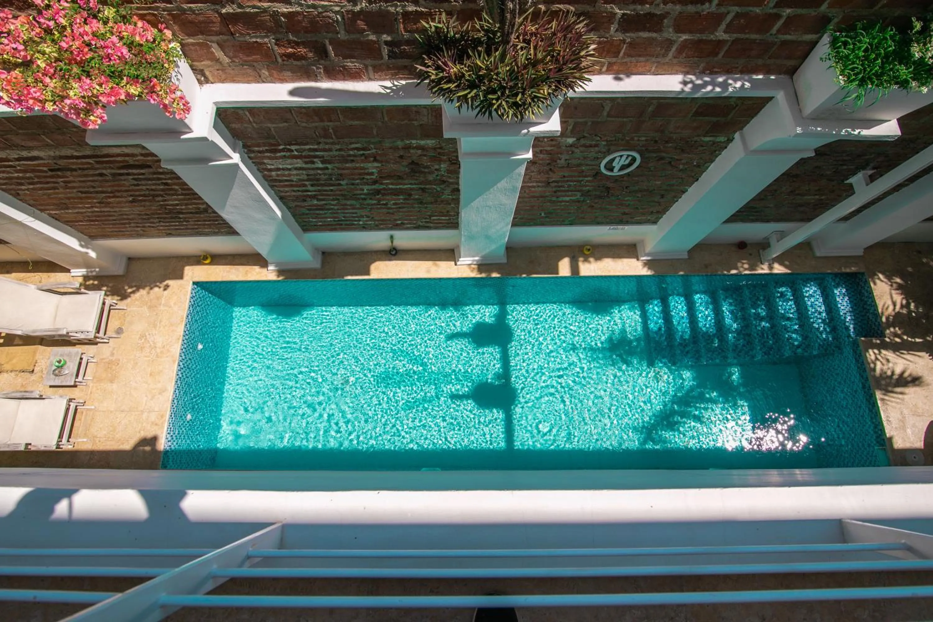 Swimming pool in El Cactus Luxury Apartments in Historic Center