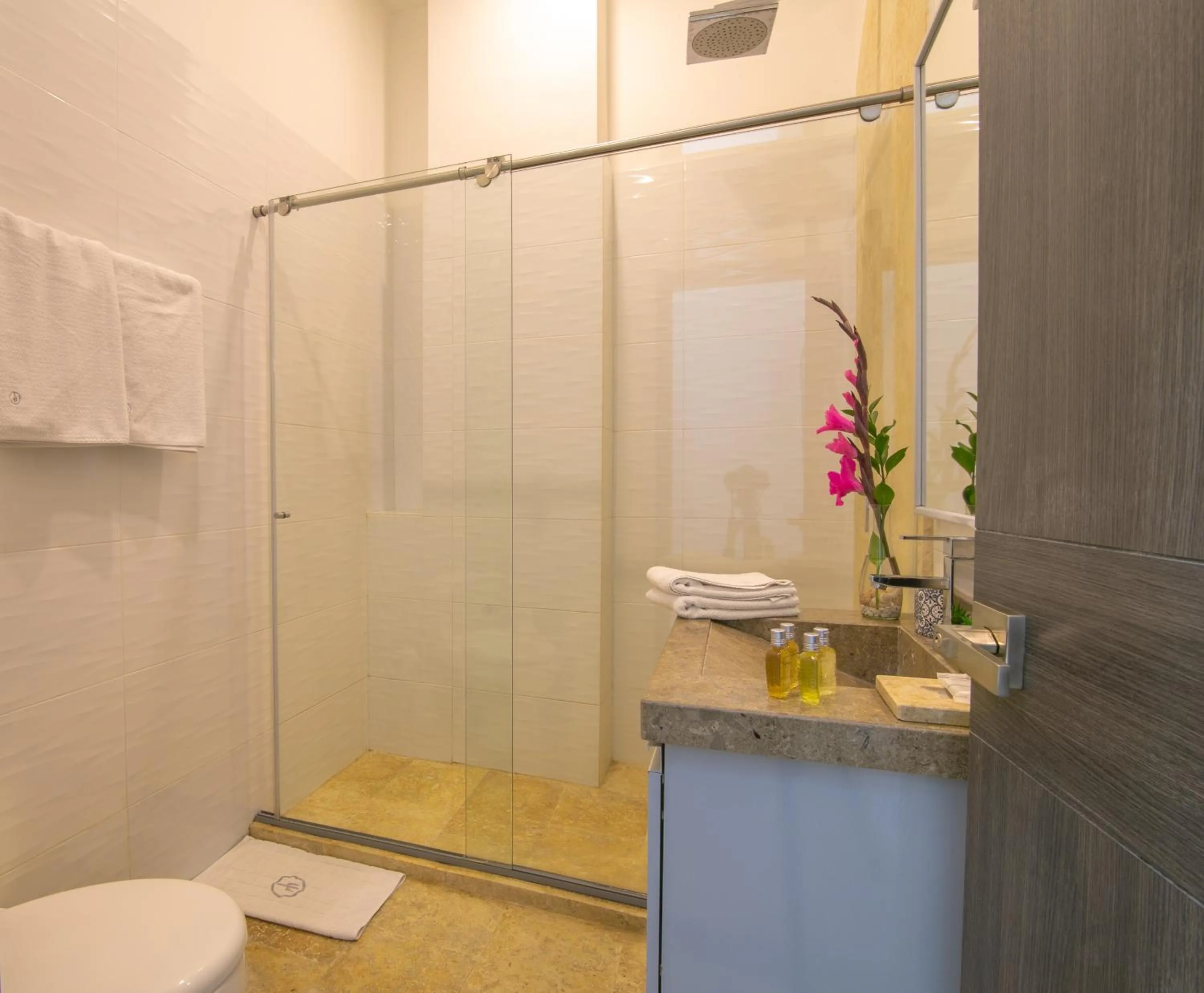 Bathroom in El Cactus Luxury Apartments in Historic Center