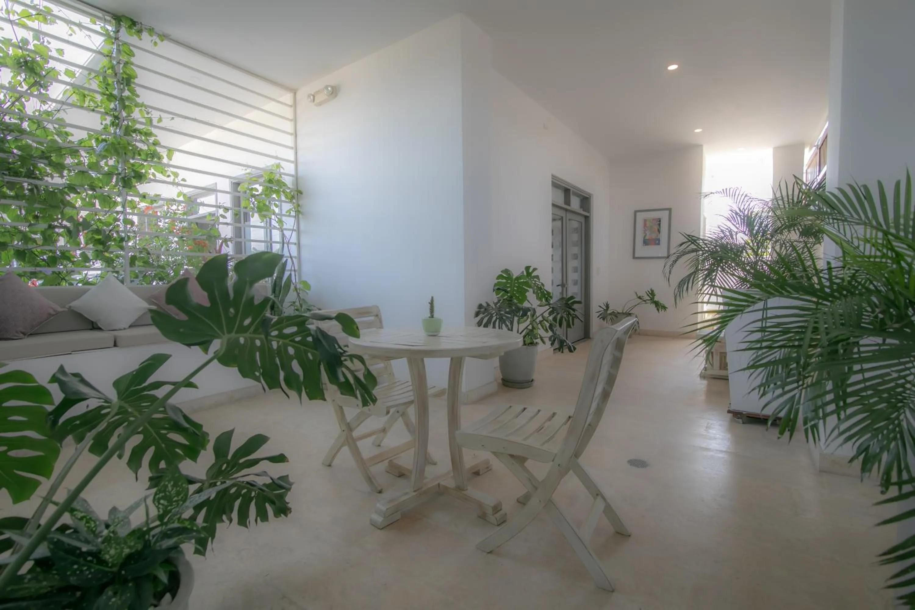 Patio in El Cactus Luxury Apartments in Historic Center