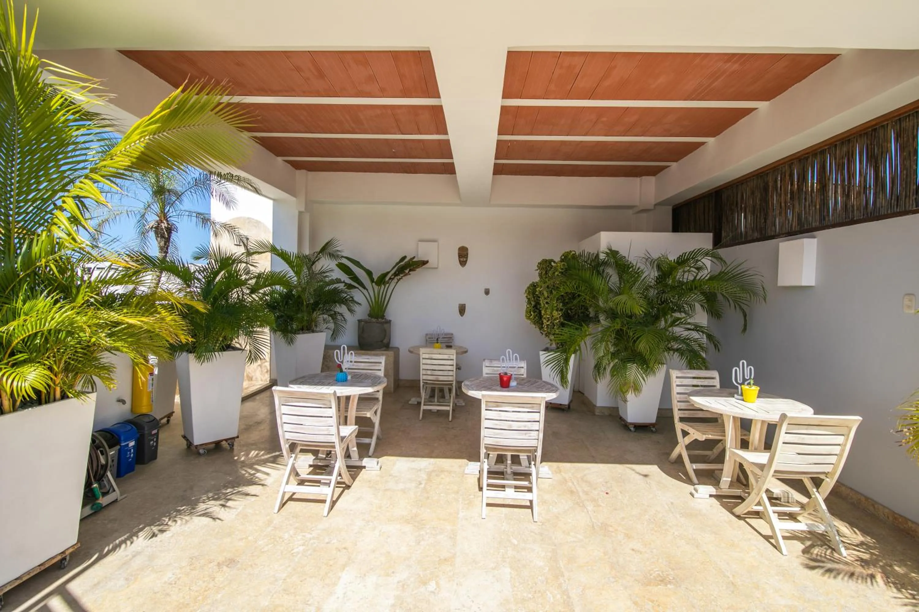 Patio in El Cactus Luxury Apartments in Historic Center