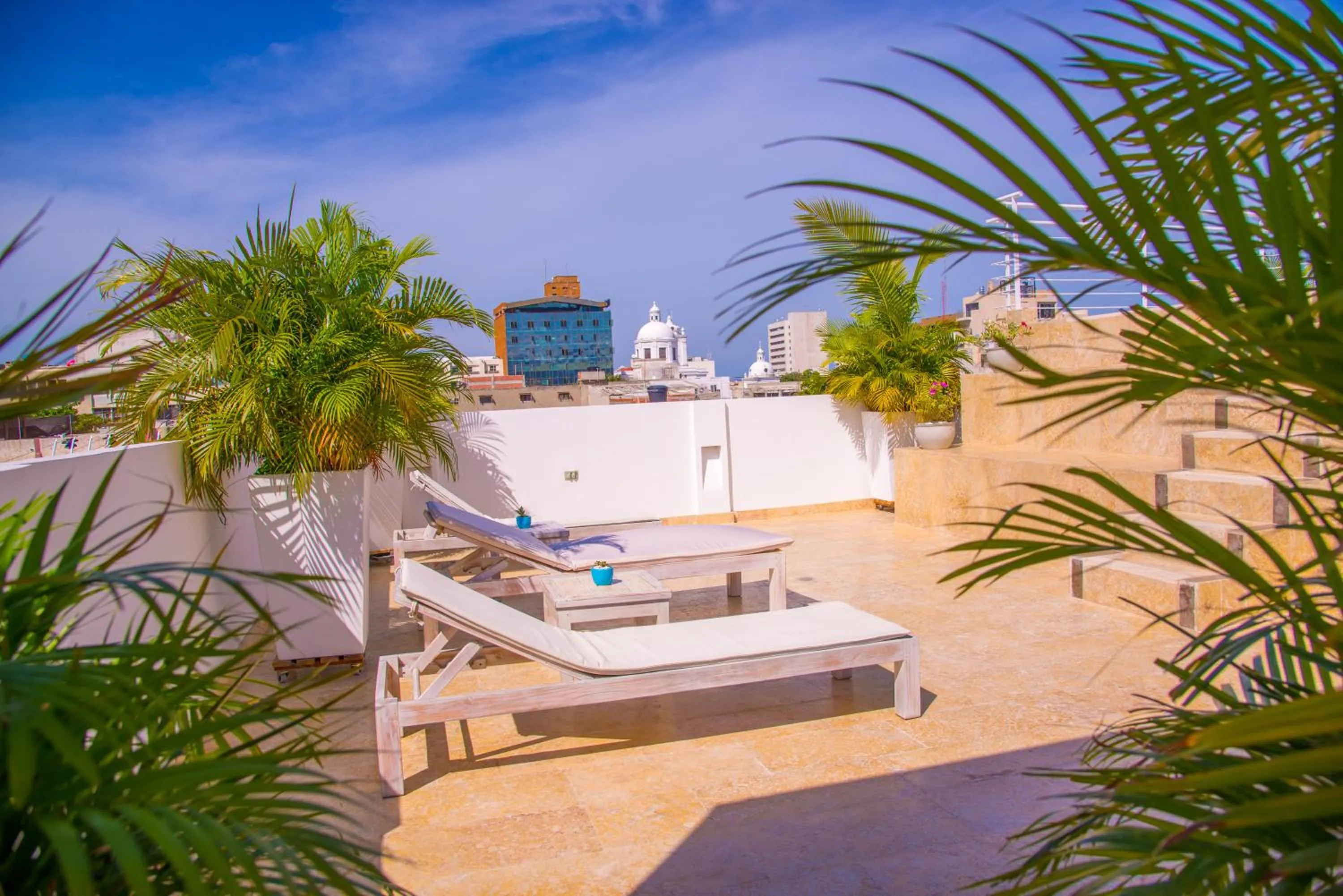 Day in El Cactus Luxury Apartments in Historic Center