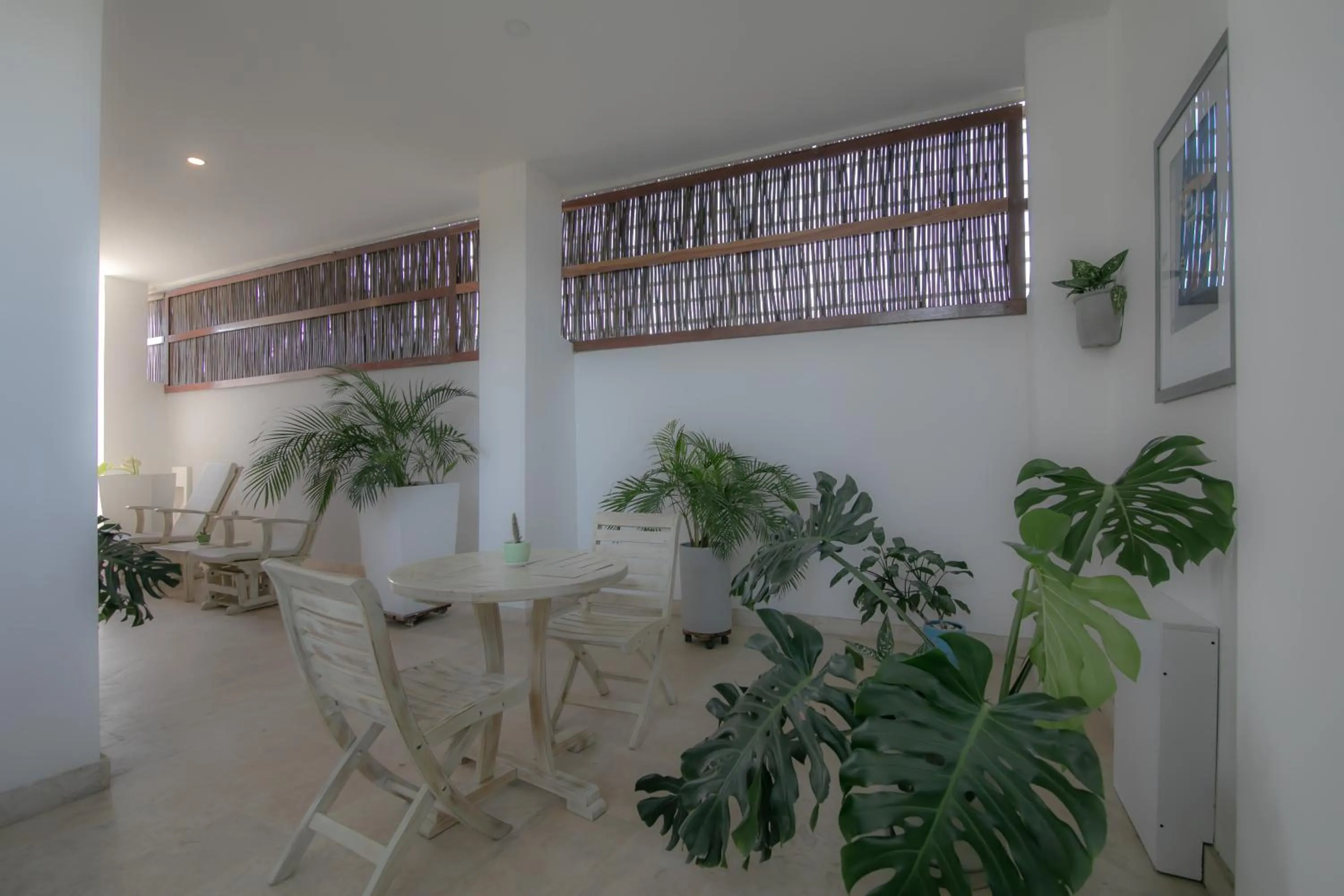 Property building in El Cactus Luxury Apartments in Historic Center