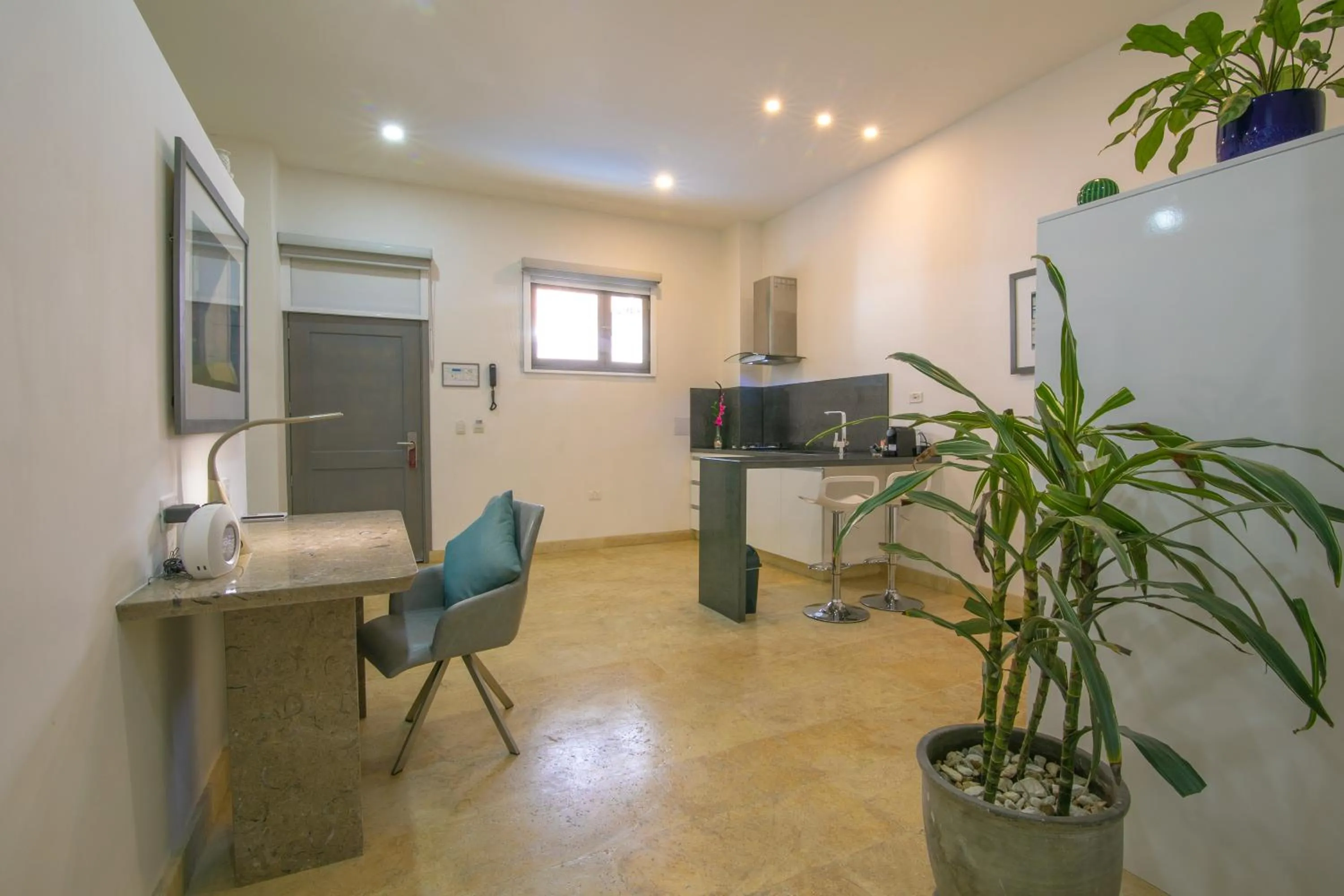 Kitchen or kitchenette in El Cactus Luxury Apartments in Historic Center
