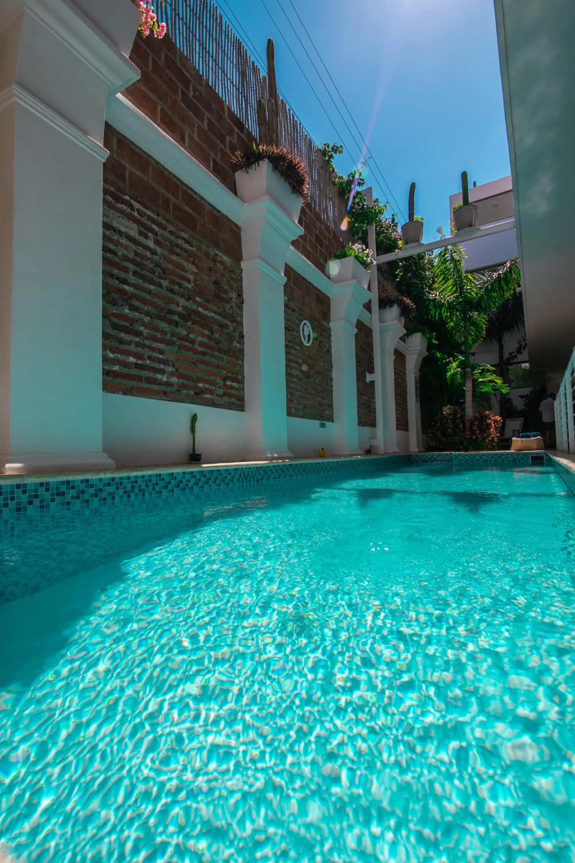 Swimming pool in El Cactus Luxury Apartments in Historic Center