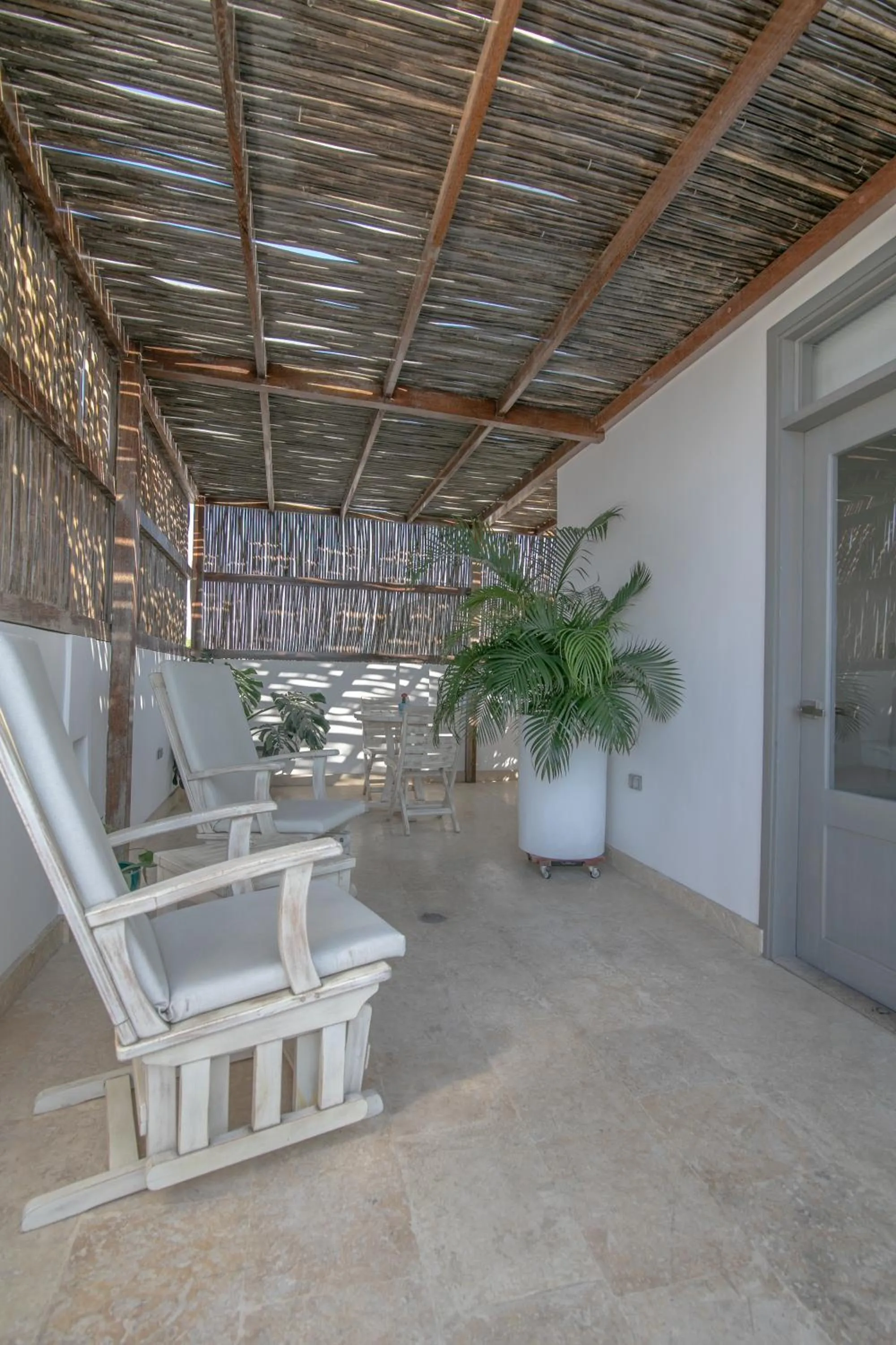 Patio in El Cactus Luxury Apartments in Historic Center