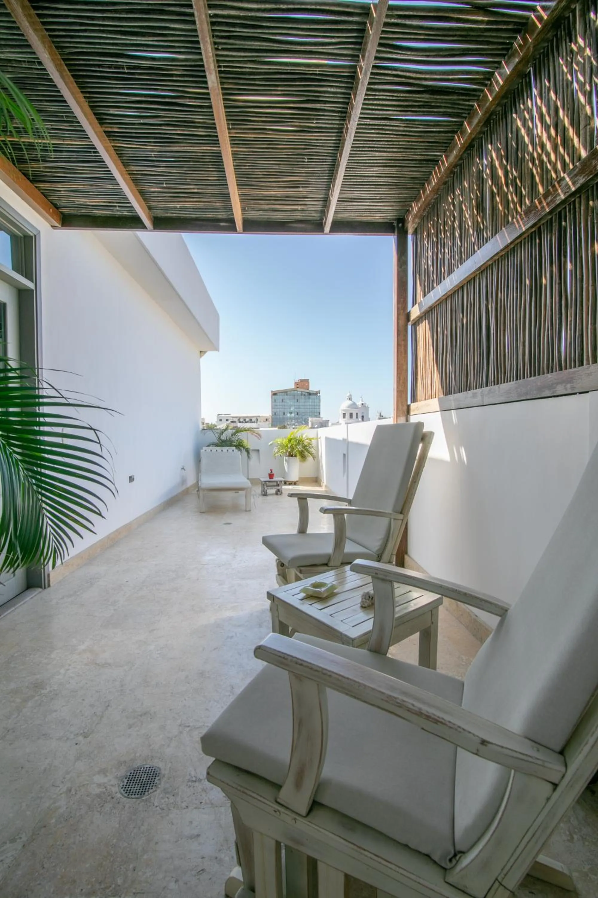 Patio in El Cactus Luxury Apartments in Historic Center