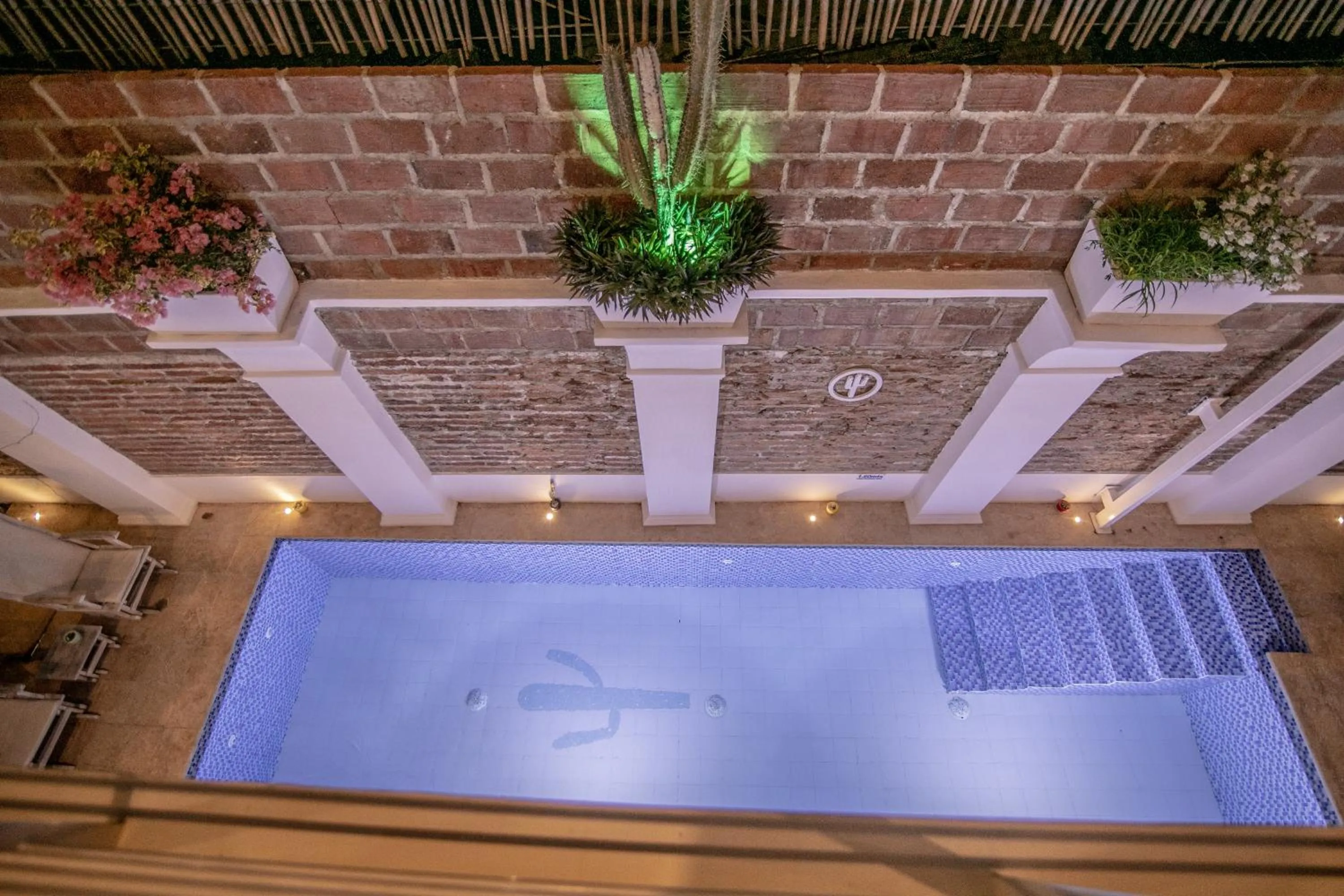 Swimming pool in El Cactus Luxury Apartments in Historic Center