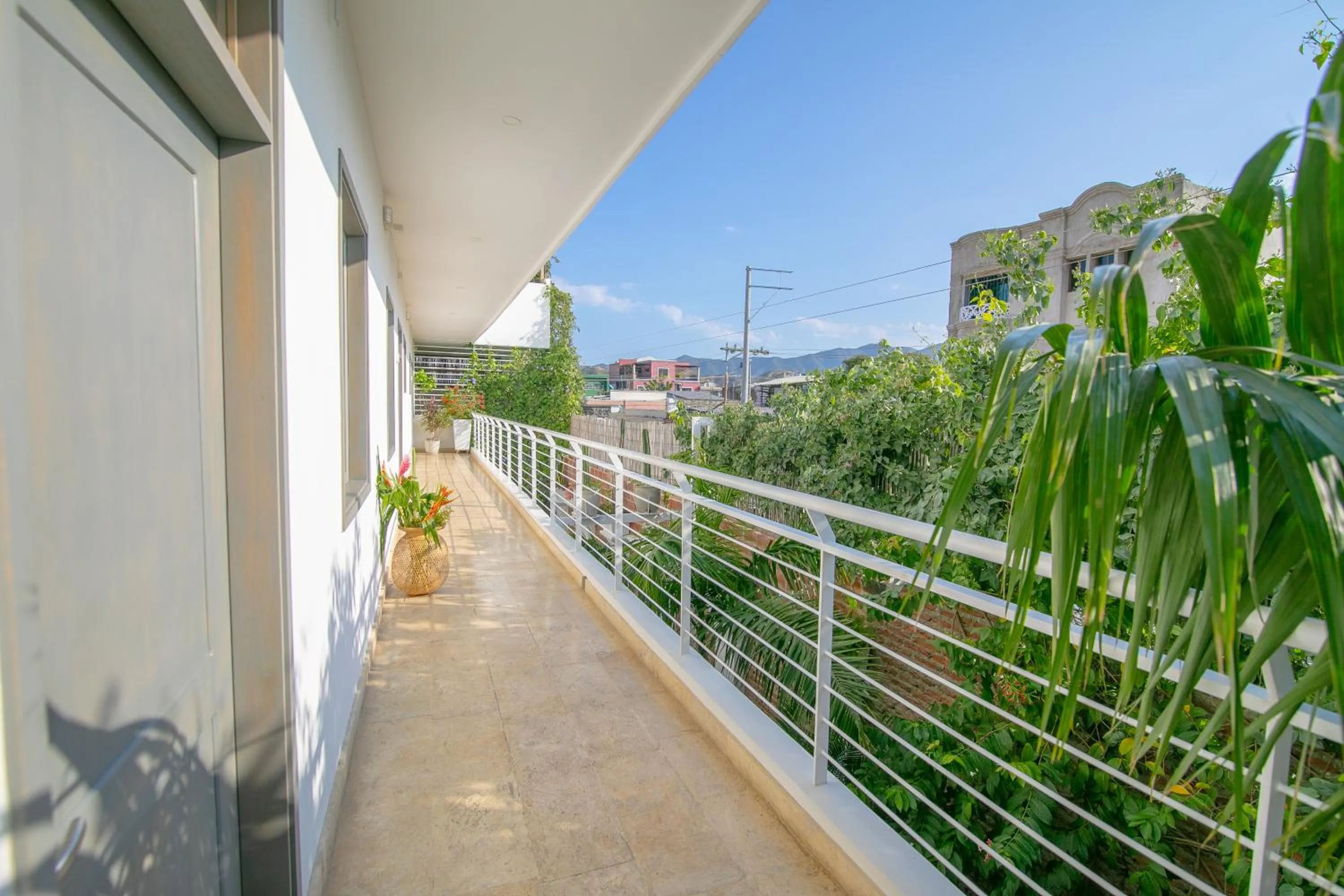 Day in El Cactus Luxury Apartments in Historic Center