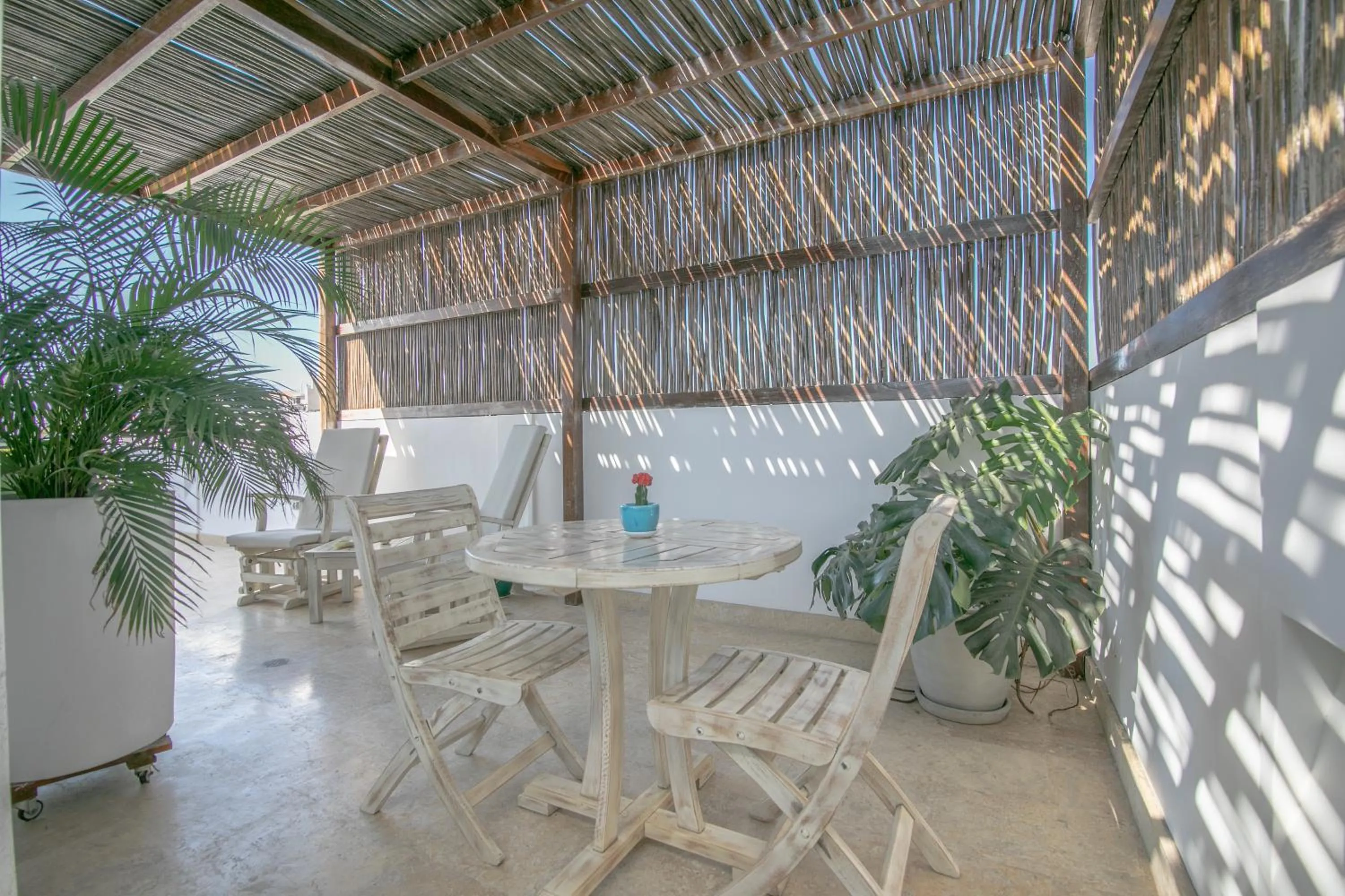 Patio in El Cactus Luxury Apartments in Historic Center