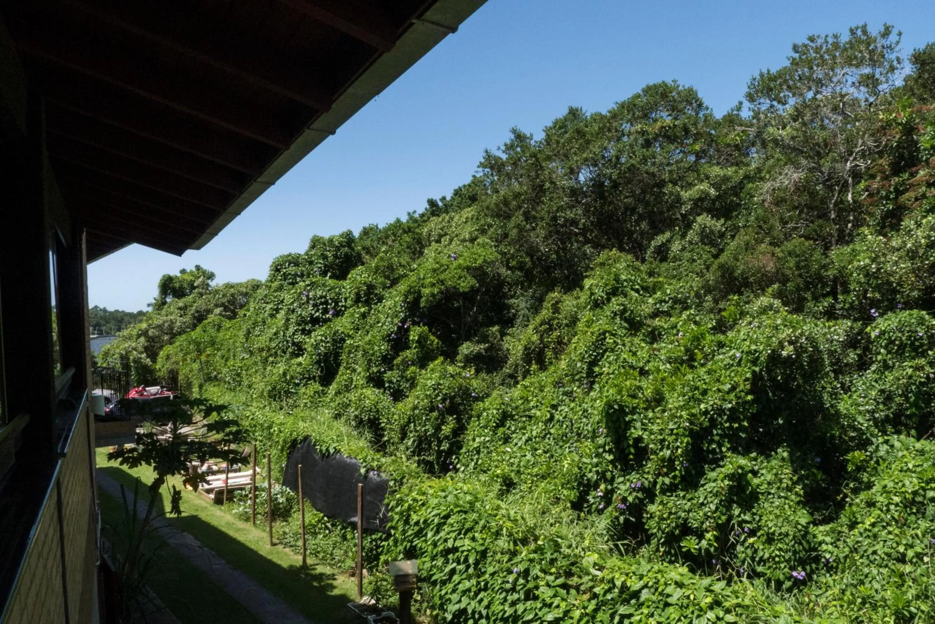 View (from property/room) in Pousada Casa da Lagoa