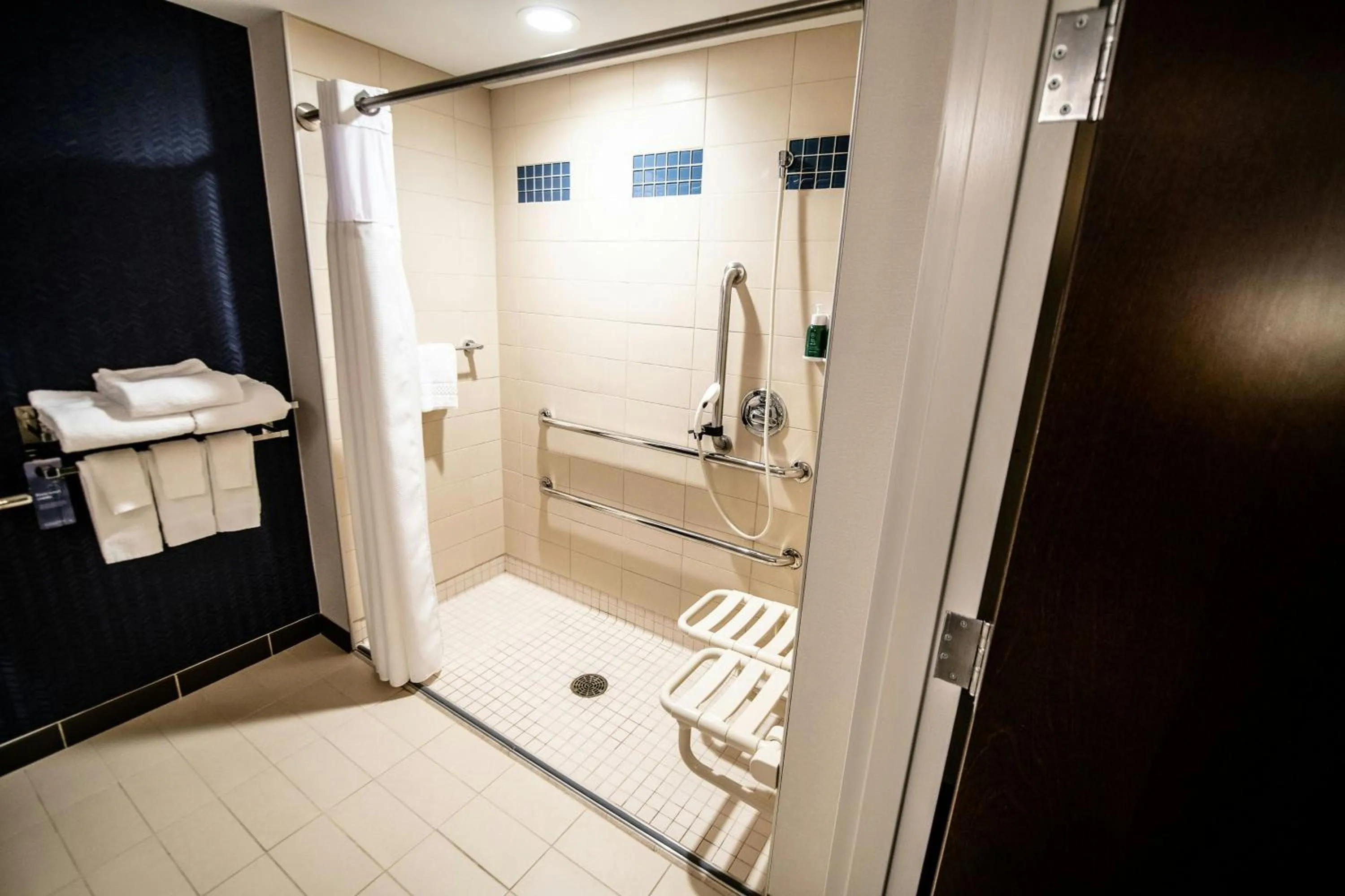 Bathroom in Fairfield by Marriott Inn & Suites Washington Casino Area