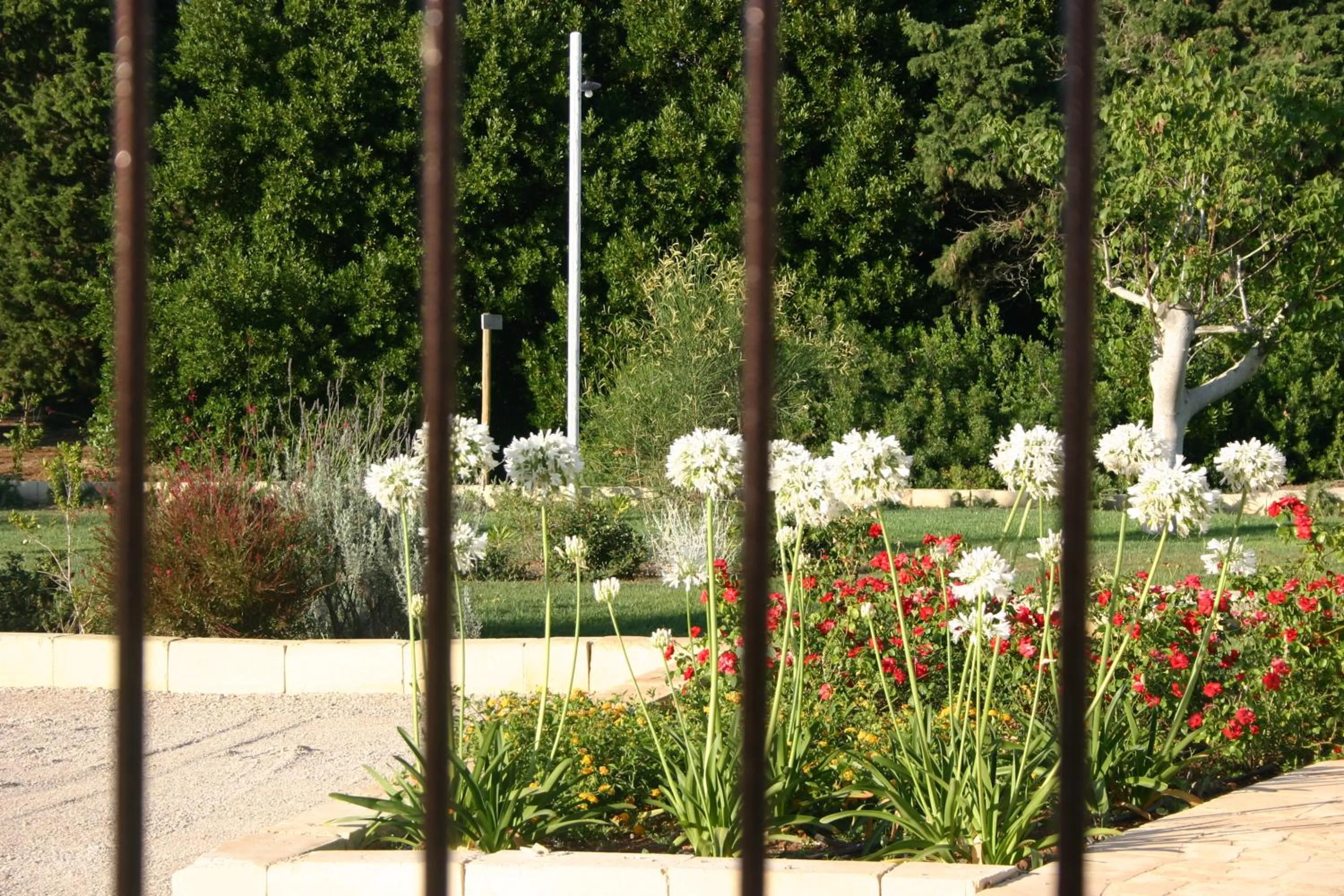 Natural landscape in Agriturismo Vigna Corallo