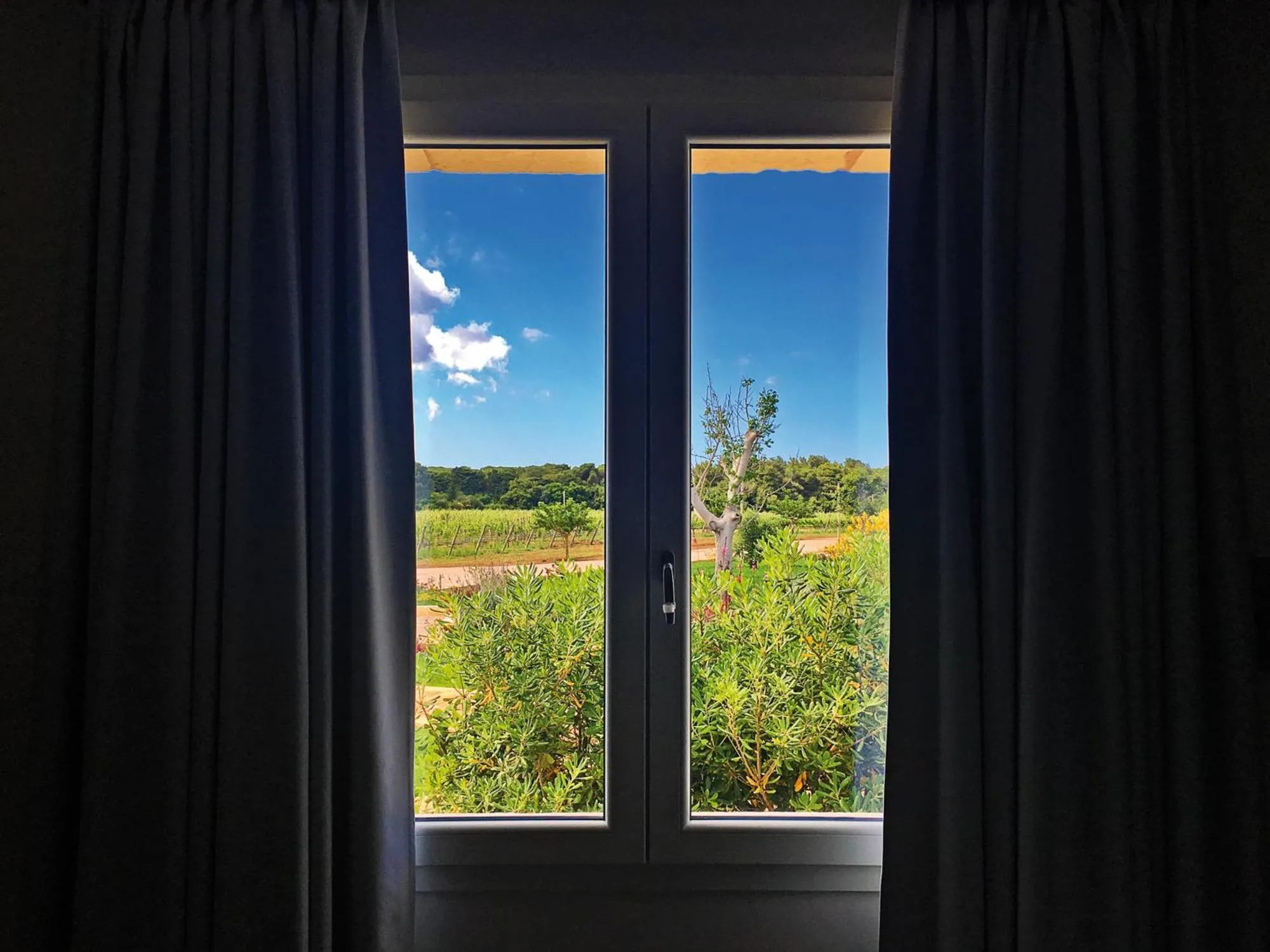 Garden view in Agriturismo Vigna Corallo