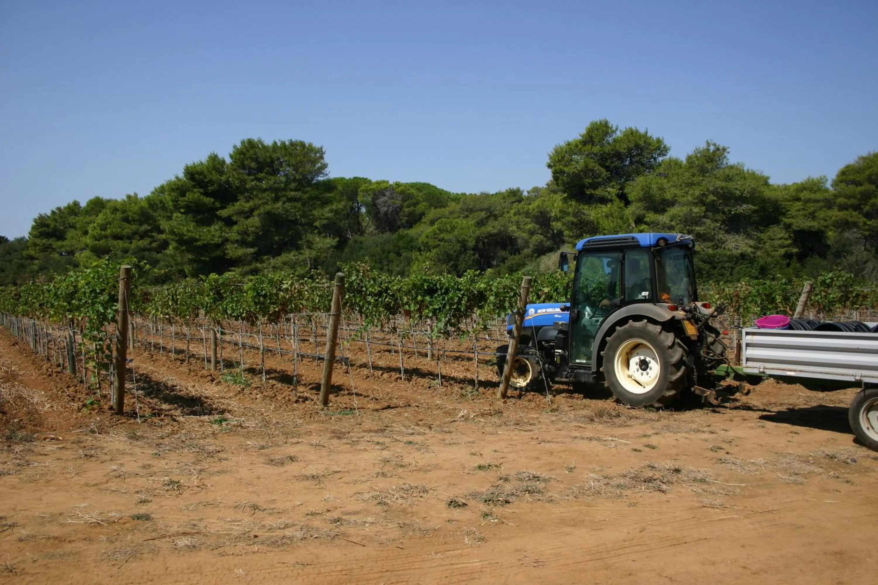 Natural landscape in Agriturismo Vigna Corallo