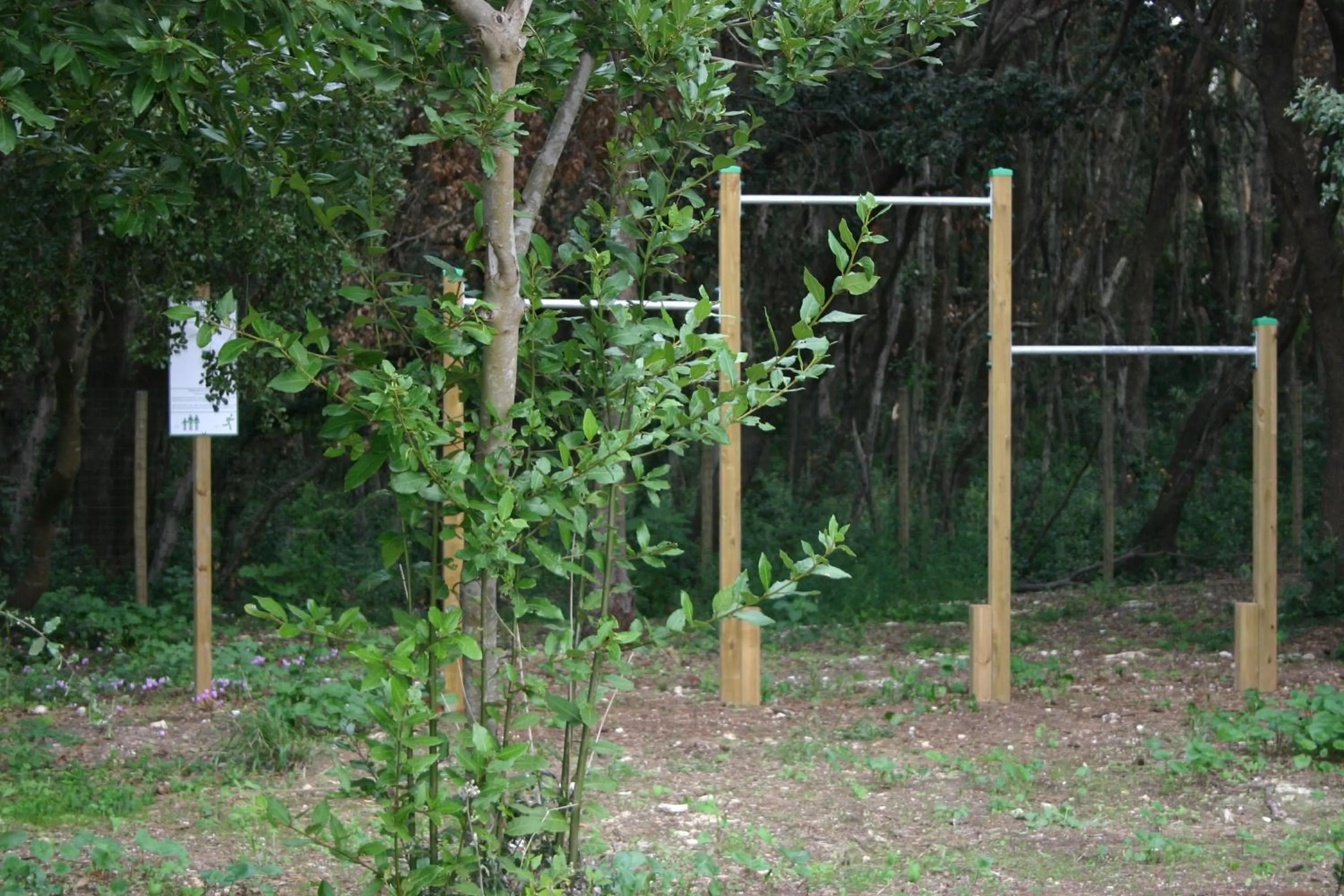 Natural landscape in Agriturismo Vigna Corallo