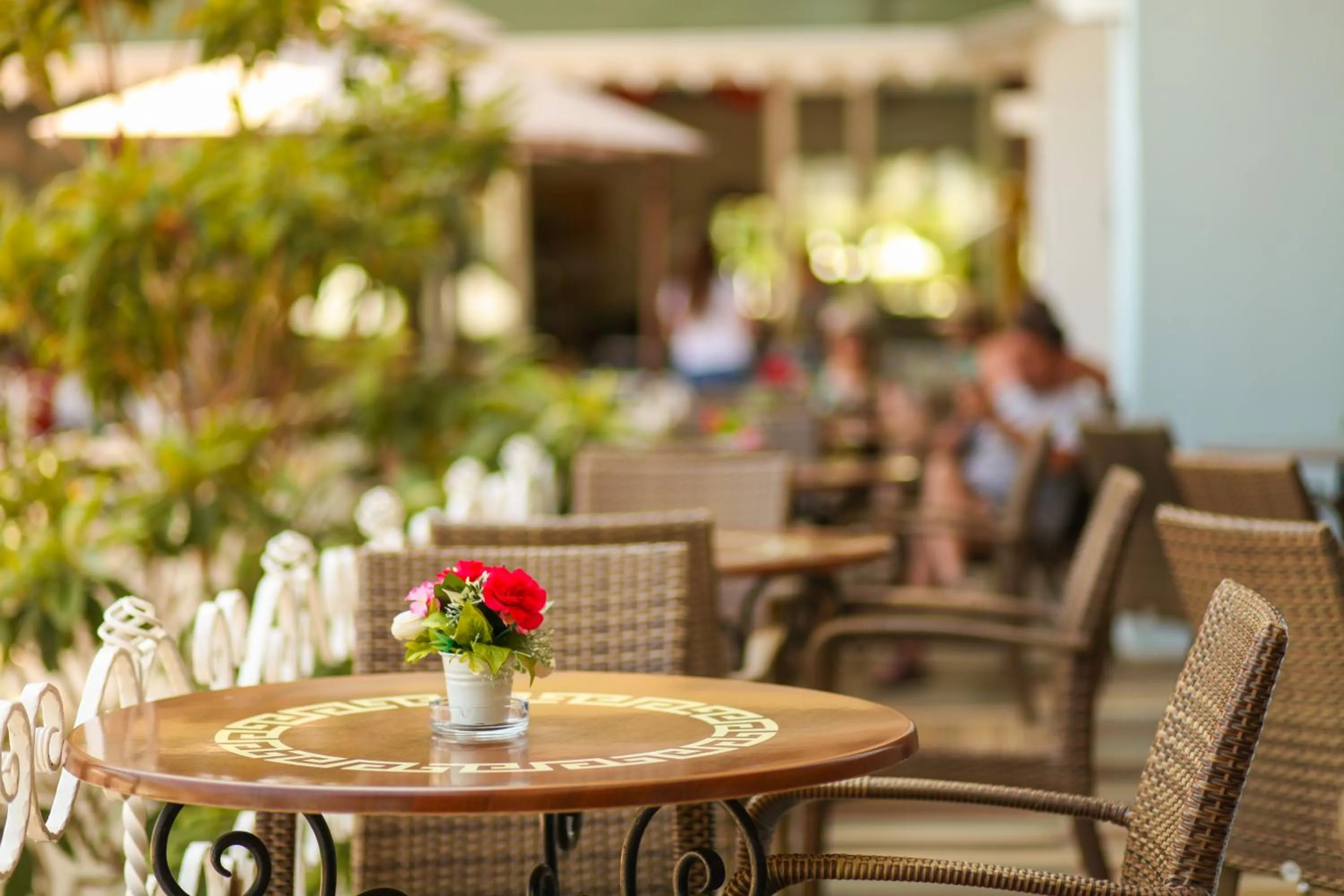 Day in Pine House by Werde Hotels