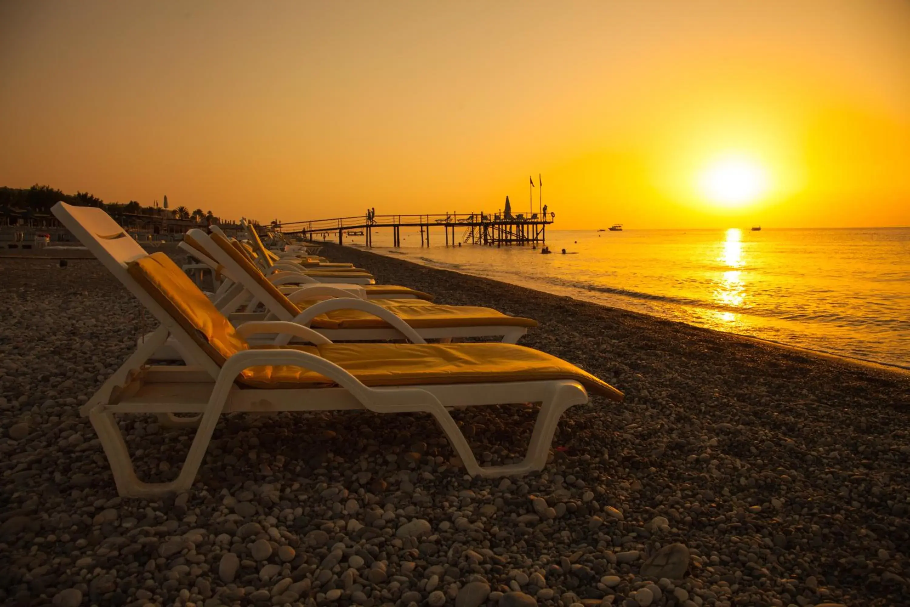 View (from property/room), Beach in Pine House by Werde Hotels View (from property/room), Beach in Pine House by Werde Hotels