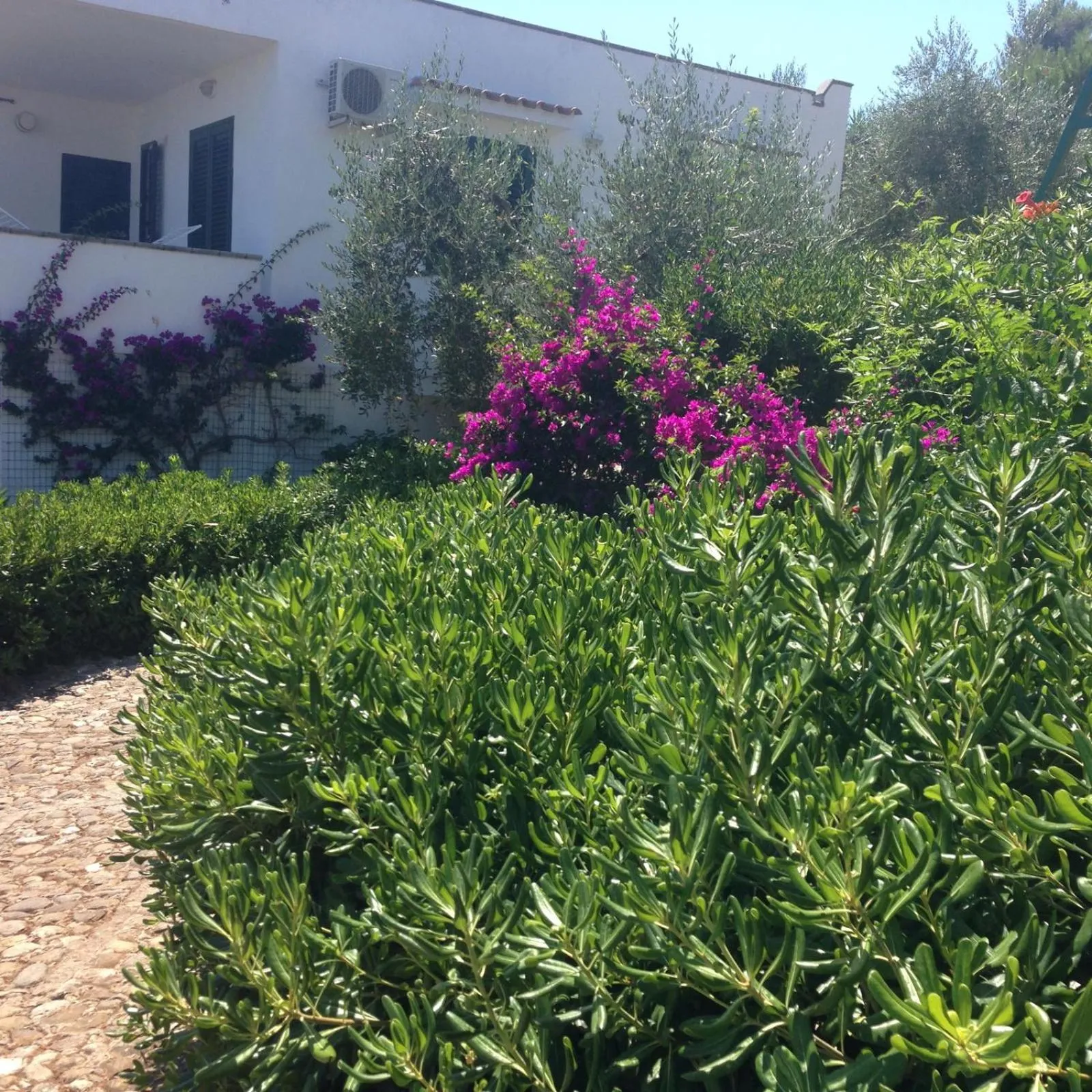 Property building in Villaggio Passo Dell'Arciprete