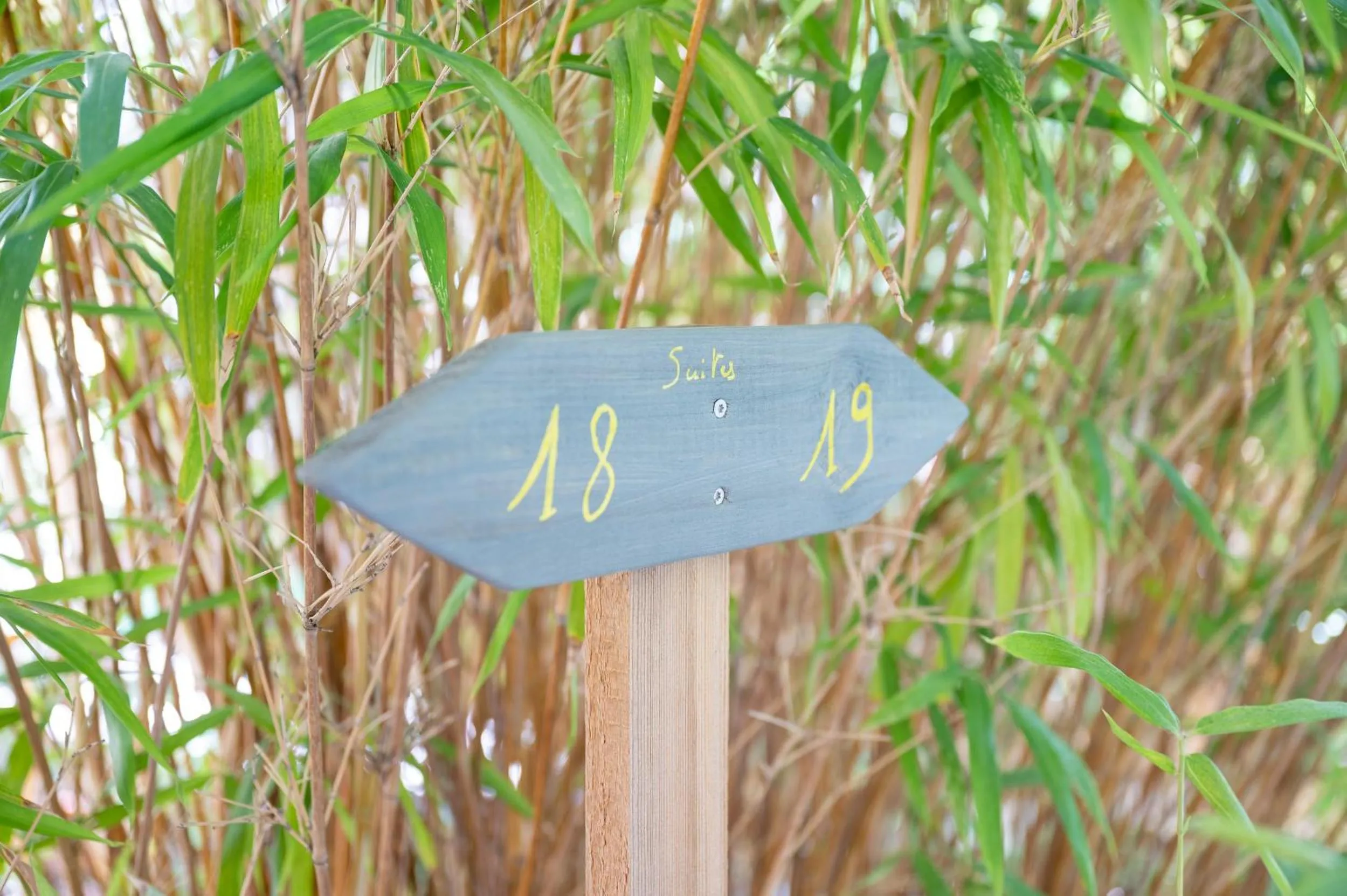 Garden view in Hôtel de La Fossette