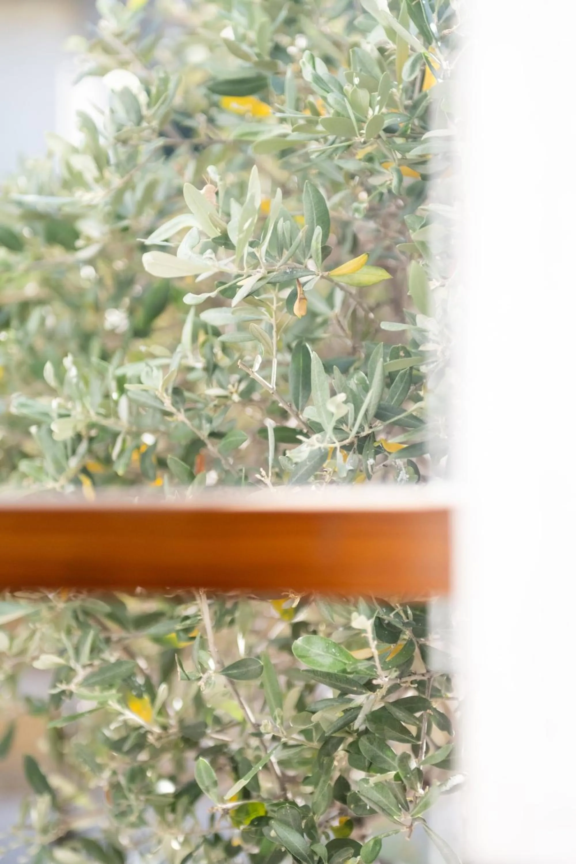 Day in Hôtel de La Fossette