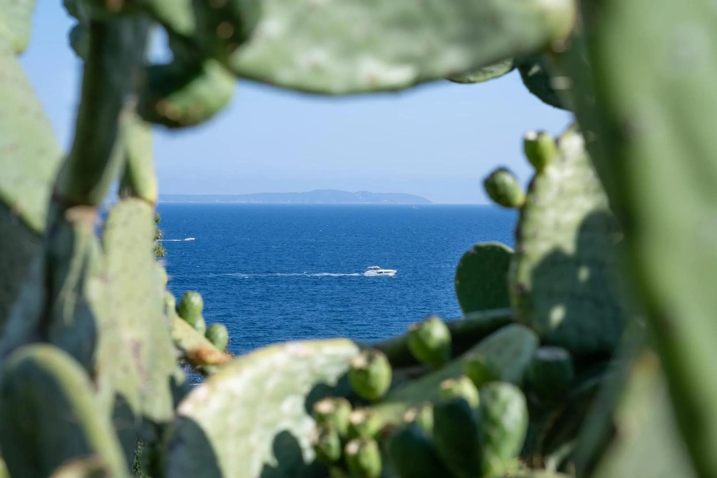 Sea view in Hôtel de La Fossette