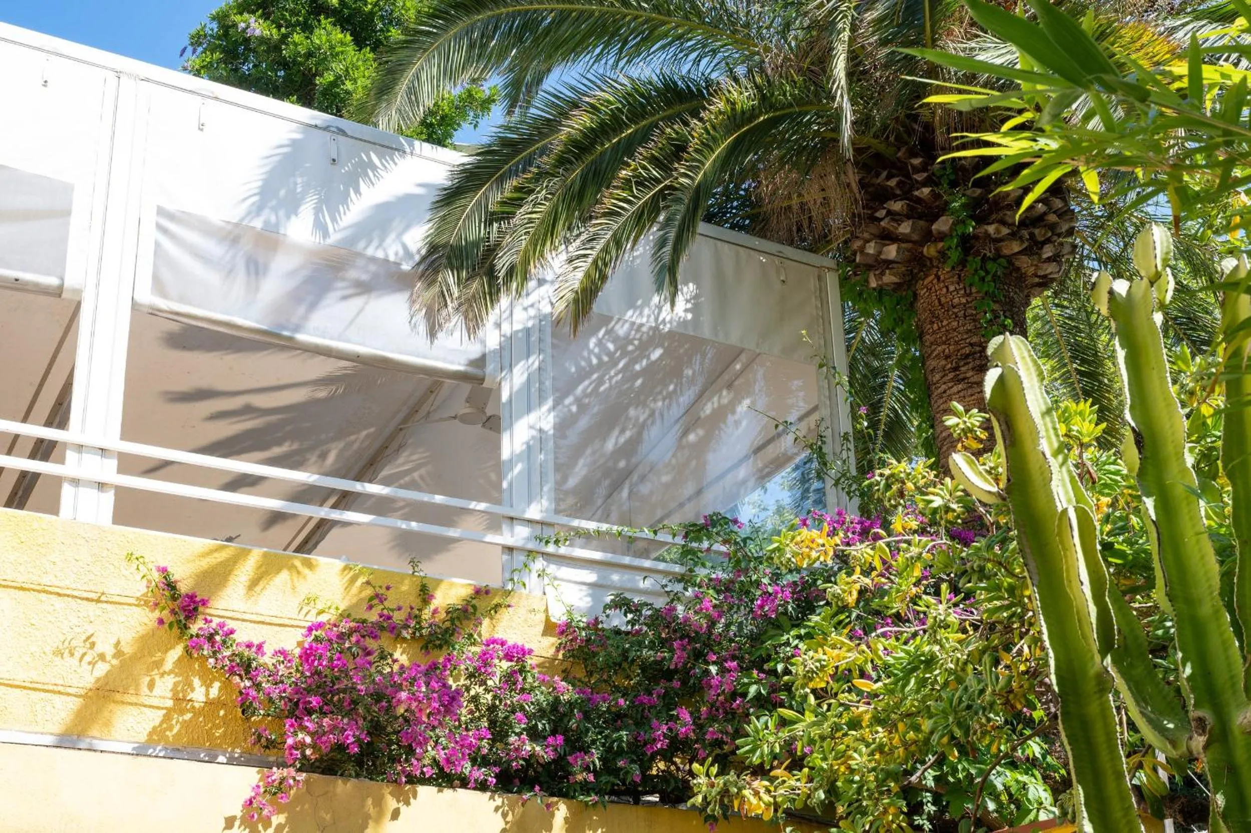 Garden in Hôtel de La Fossette
