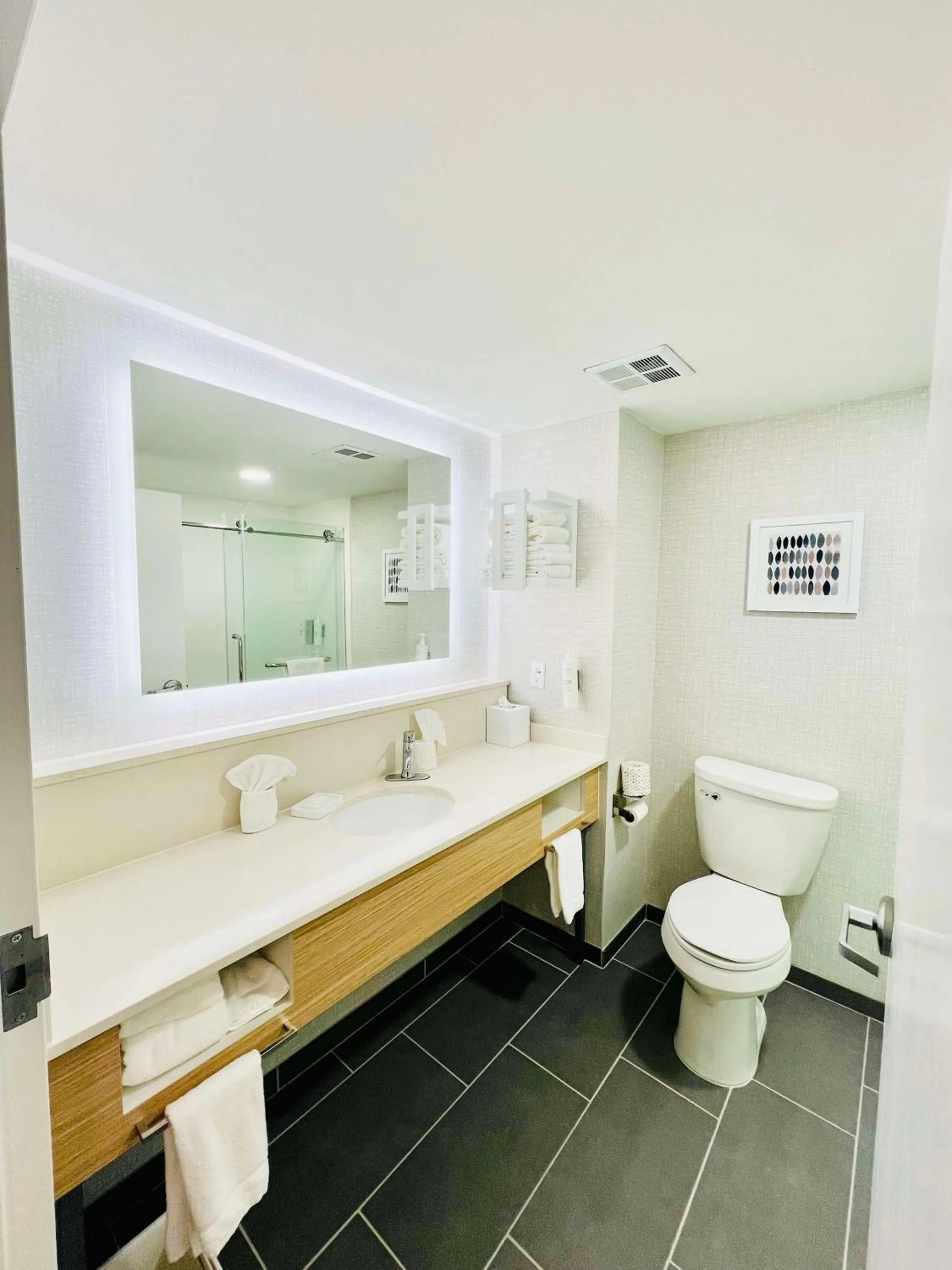 Bathroom in Hampton Inn Stony Creek