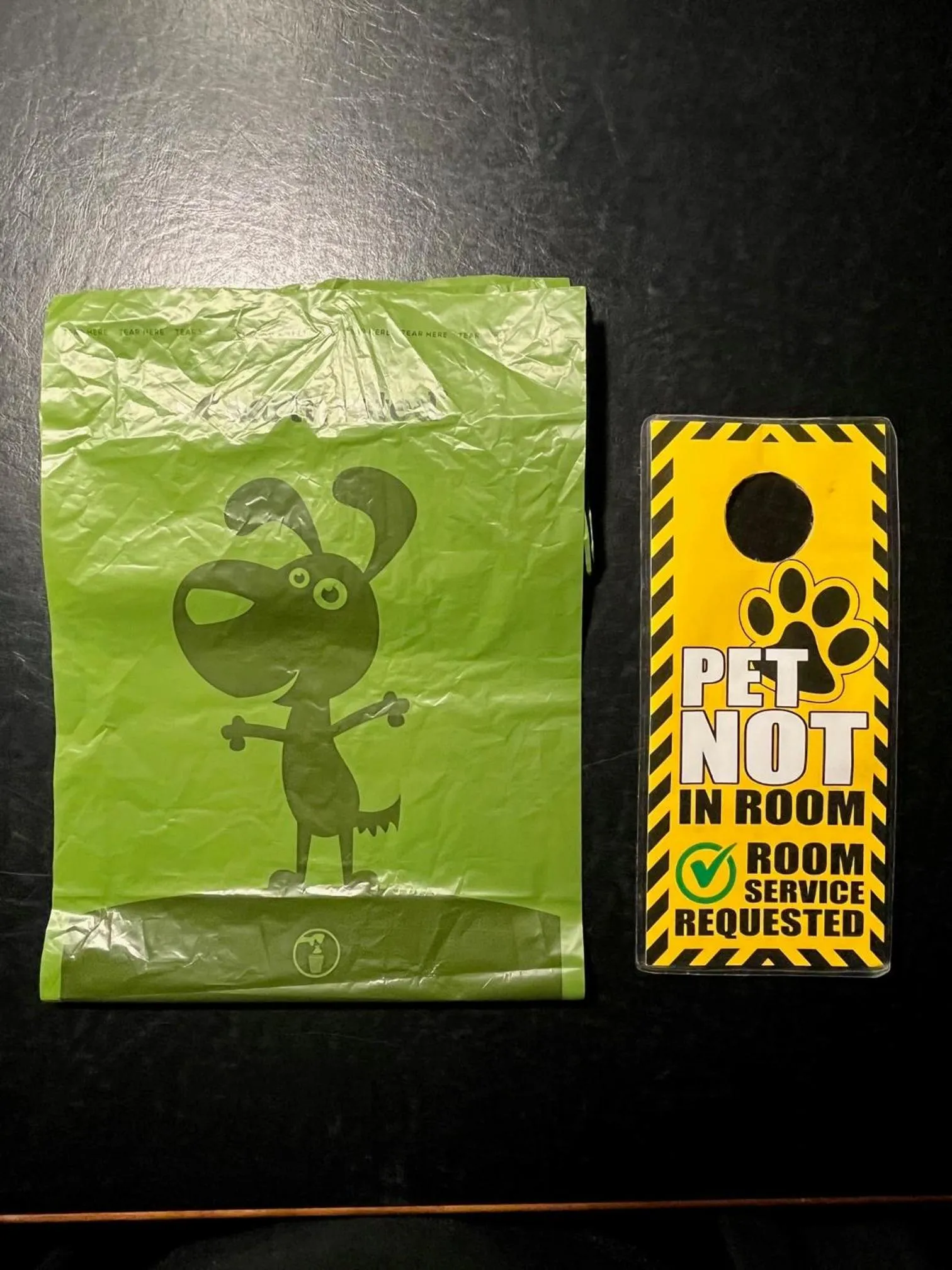 Pets in Royal Hotel Lloydminster