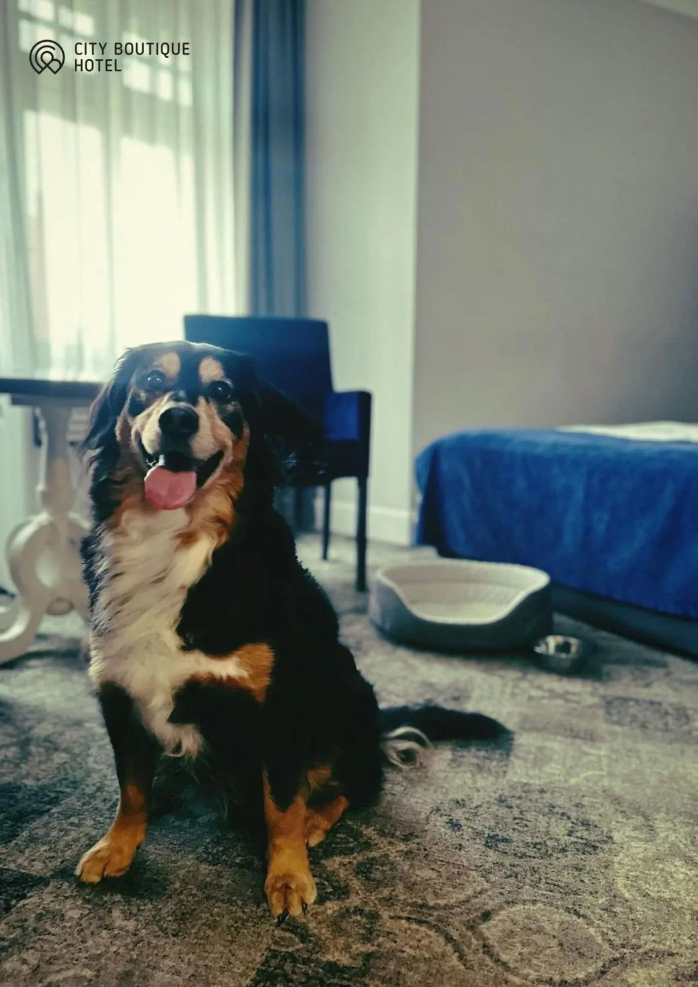 City Boutique Hotel
