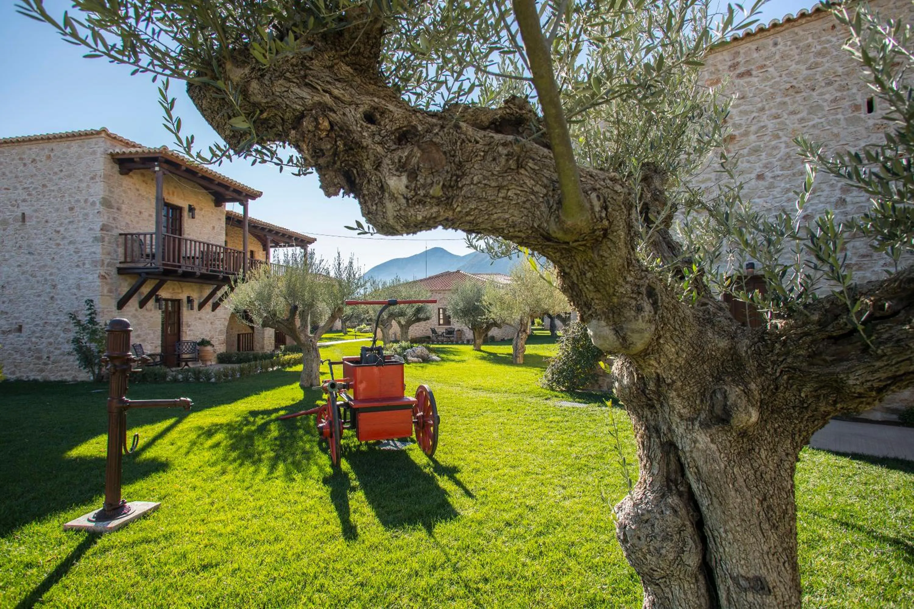 Garden in Mystras Grand Palace Resort & Spa