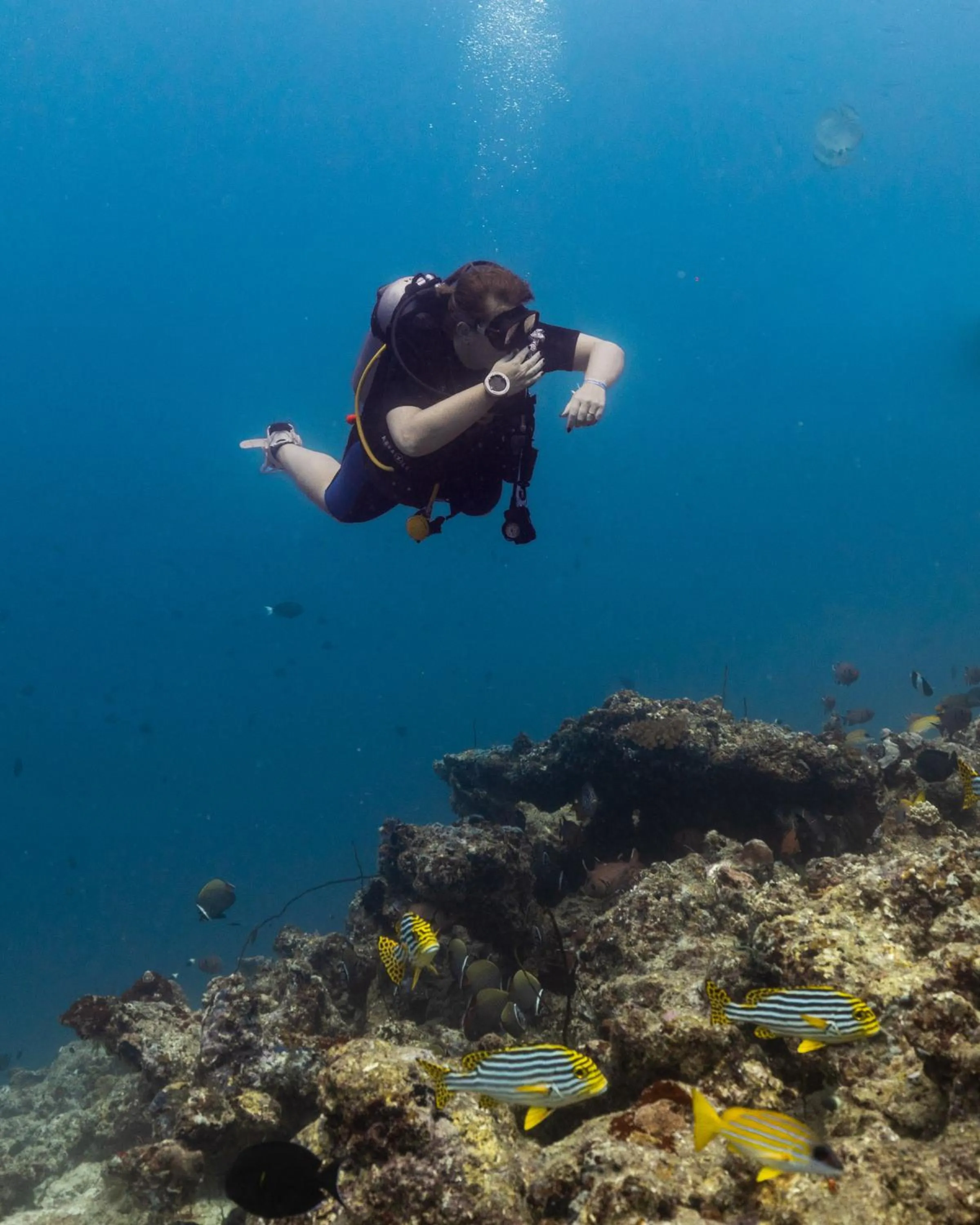 Diving in Cinnamon Dhonveli Maldives - Free One-Way Speedboat and 02 Kids Under 12 Stay & Dine Free