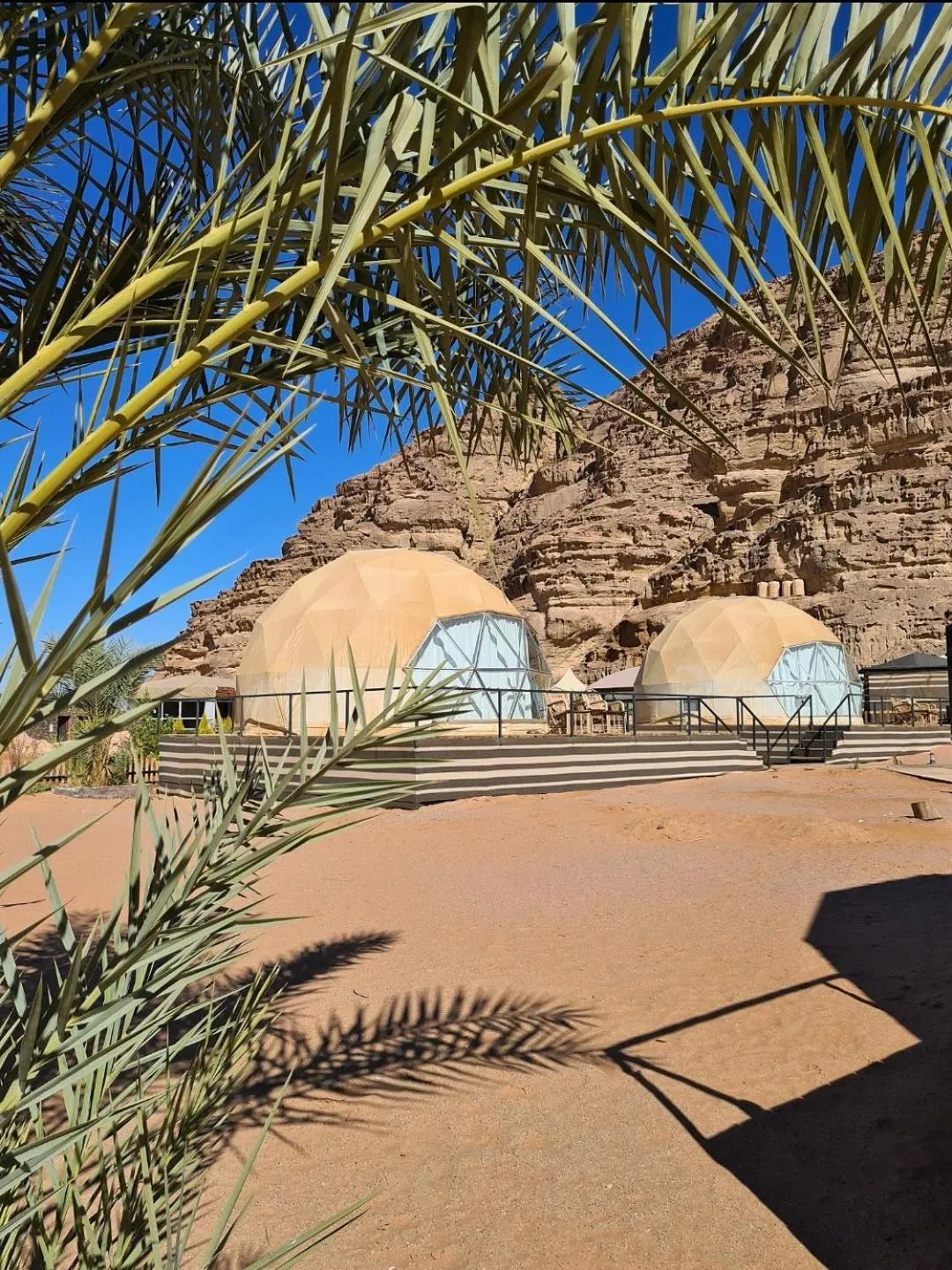 Property building in Hasan Zawaideh Camp