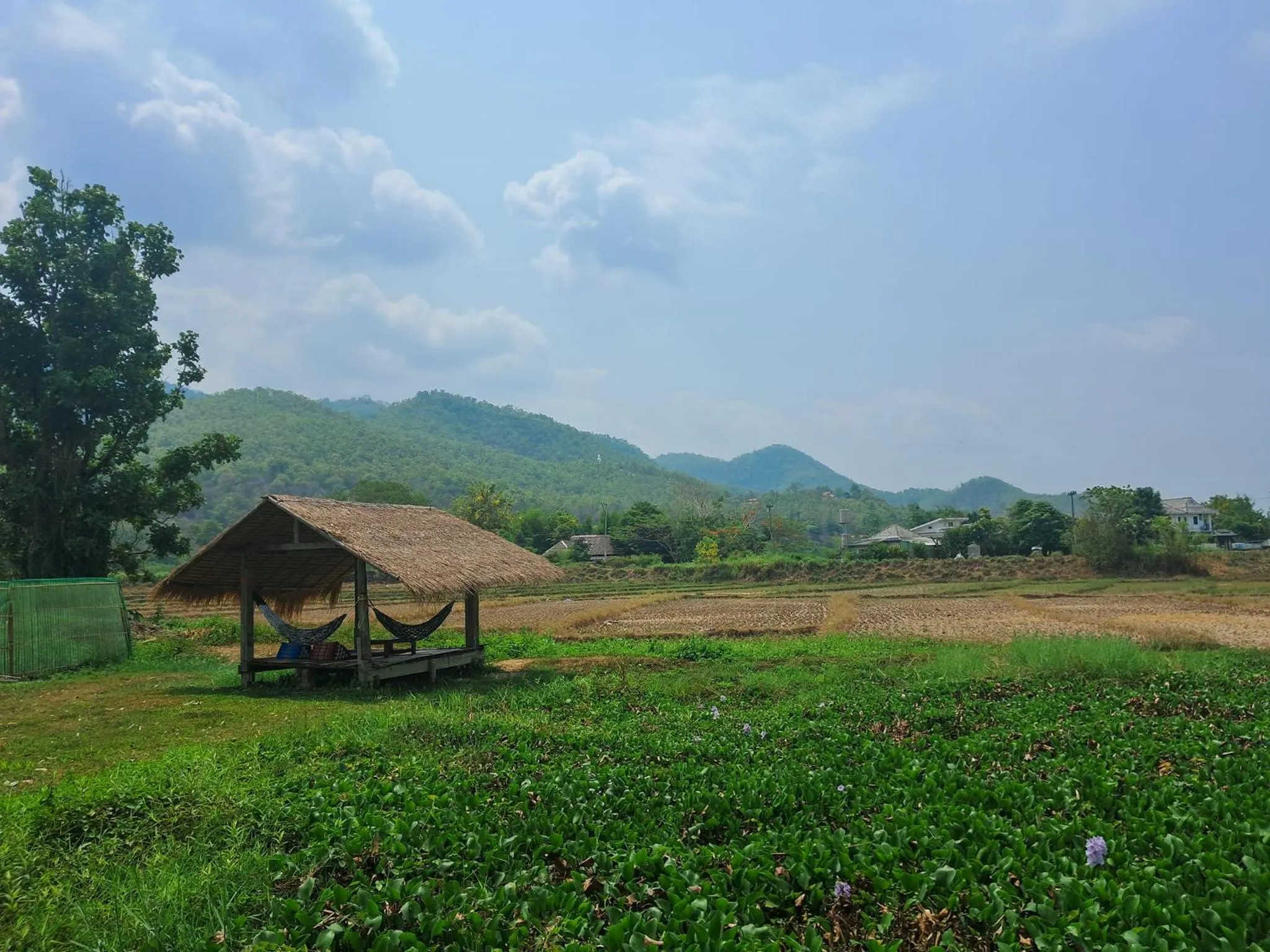 The Countryside Pai