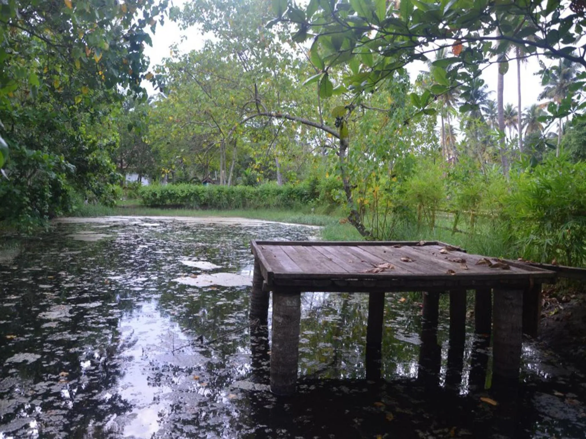 Day in Abad Turtle Beach