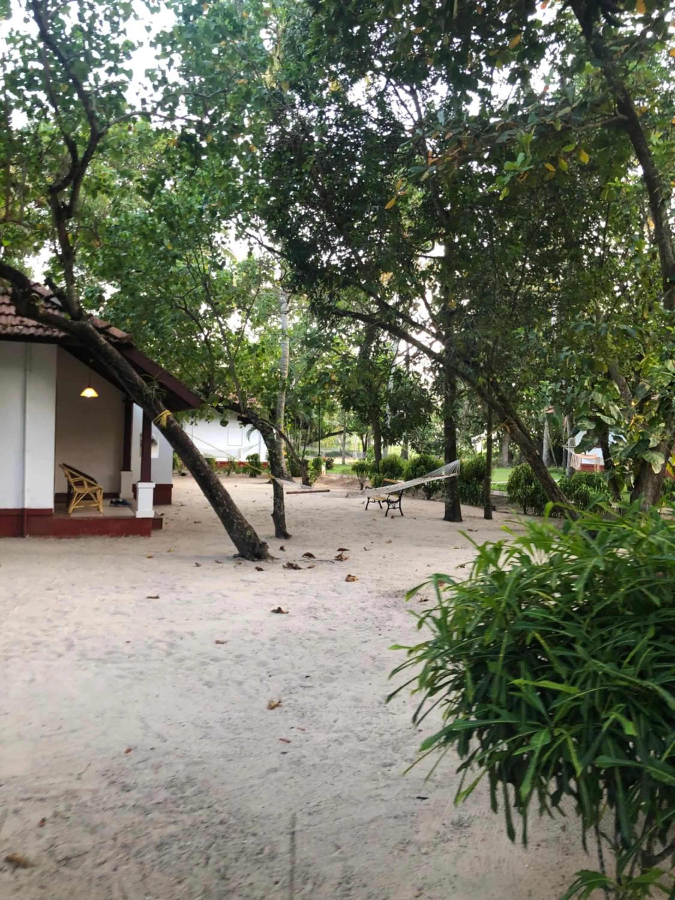 Natural landscape in Abad Turtle Beach
